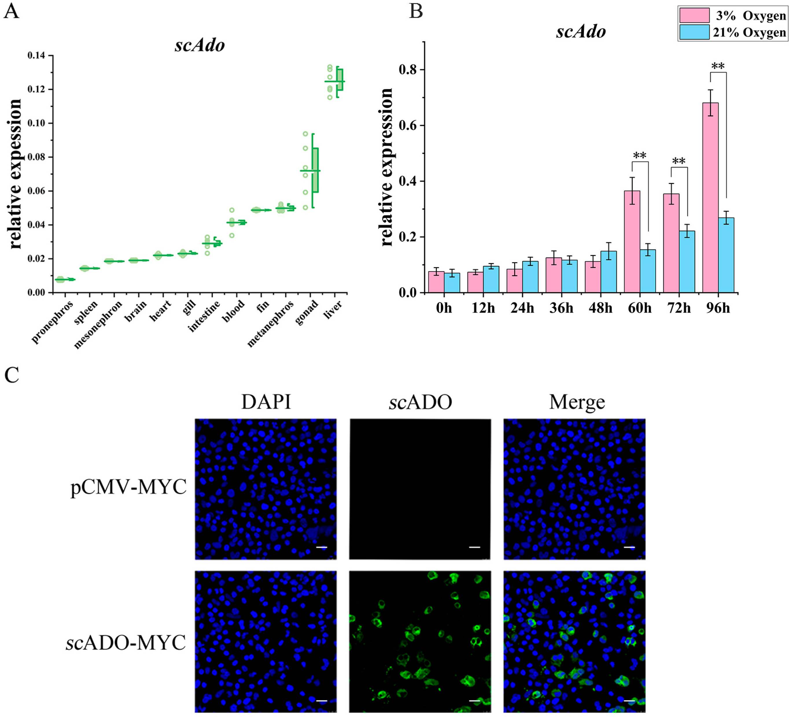 Viruses 15 01644 g002 Viruses 15 01644 g002