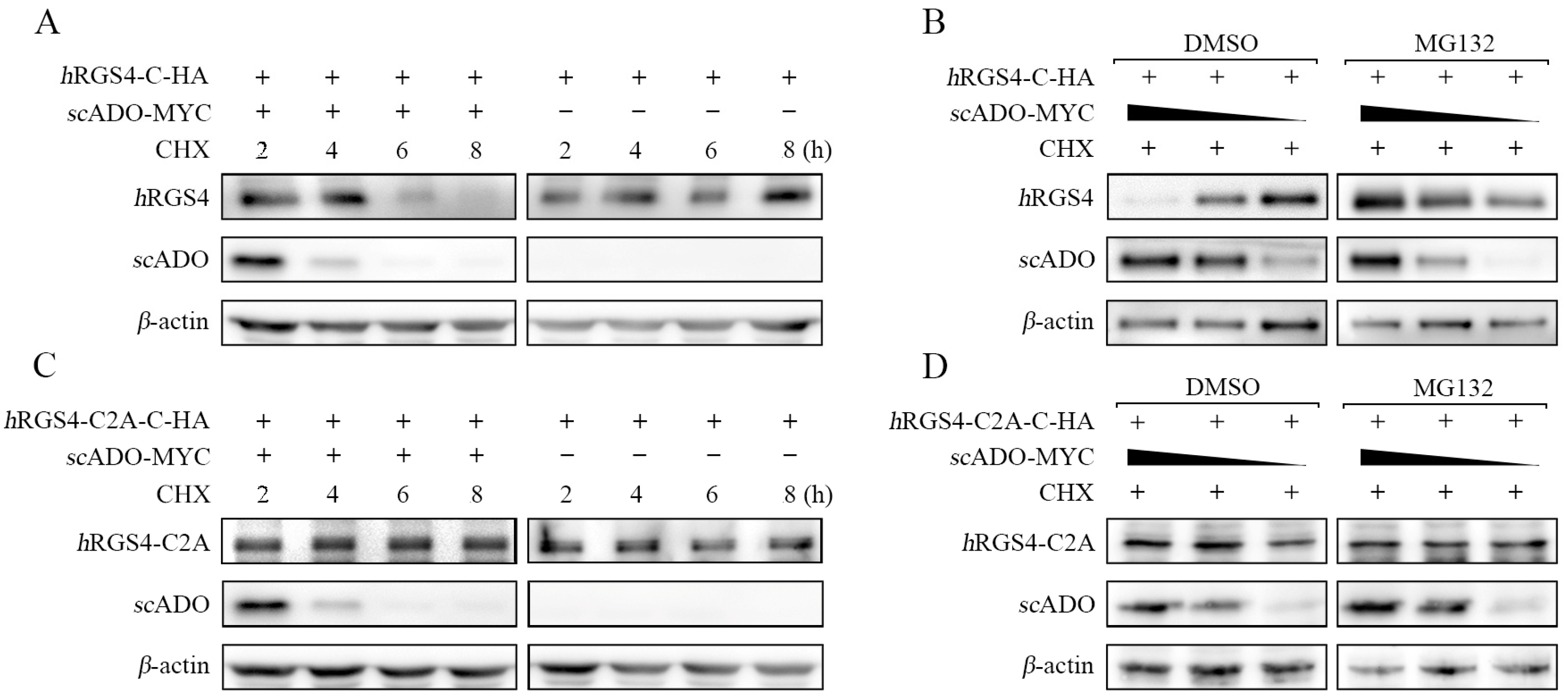 Viruses 15 01644 g003 Viruses 15 01644 g003