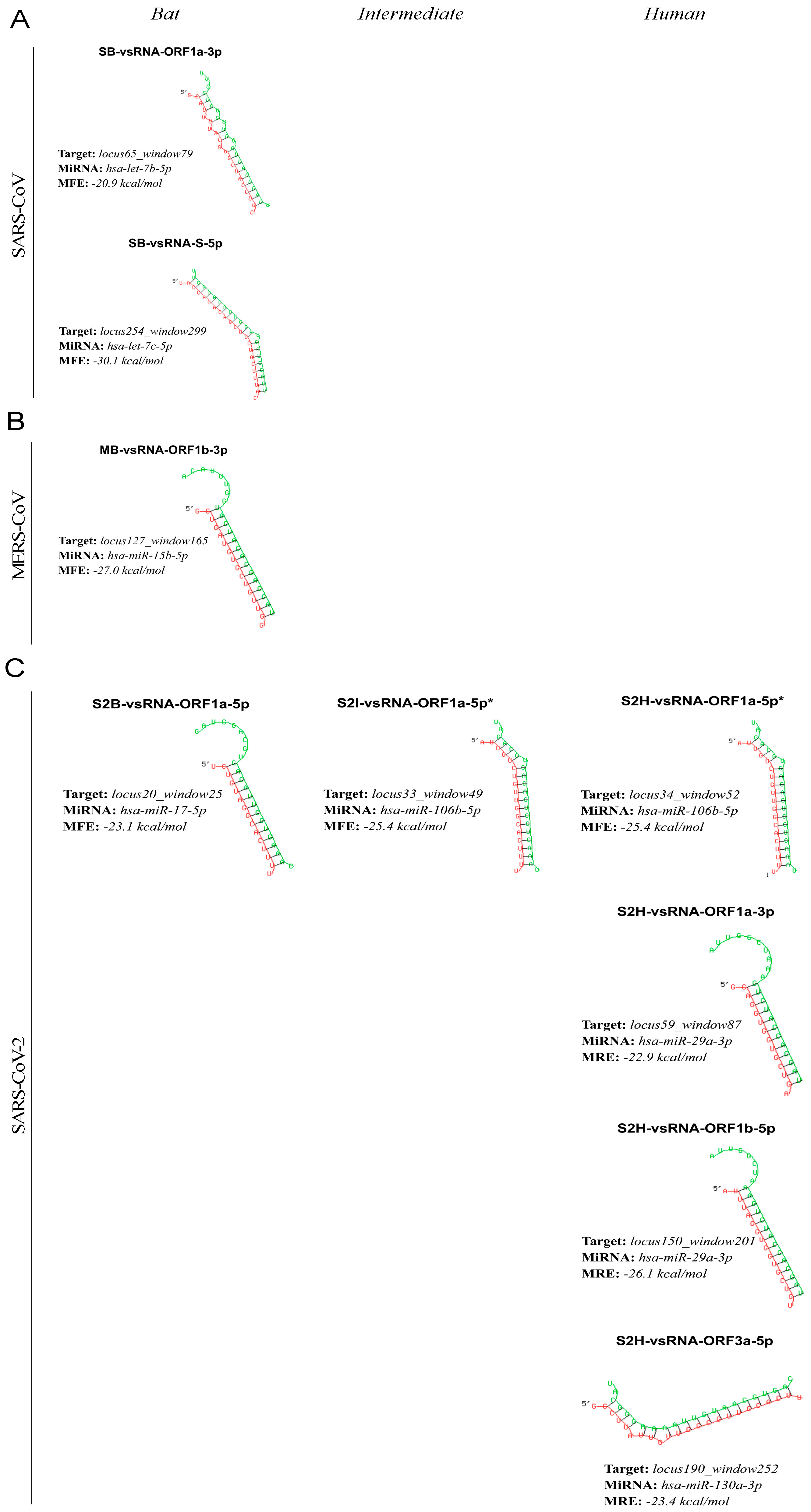 Viruses 15 01647 g004 Viruses 15 01647 g004