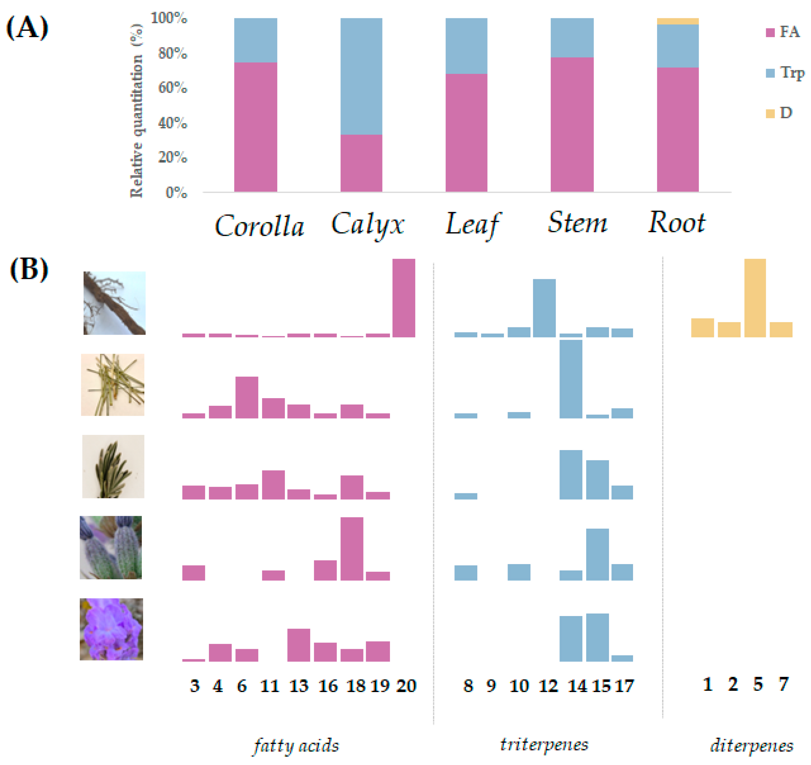 Viruses 15 01648 g002 Viruses 15 01648 g002