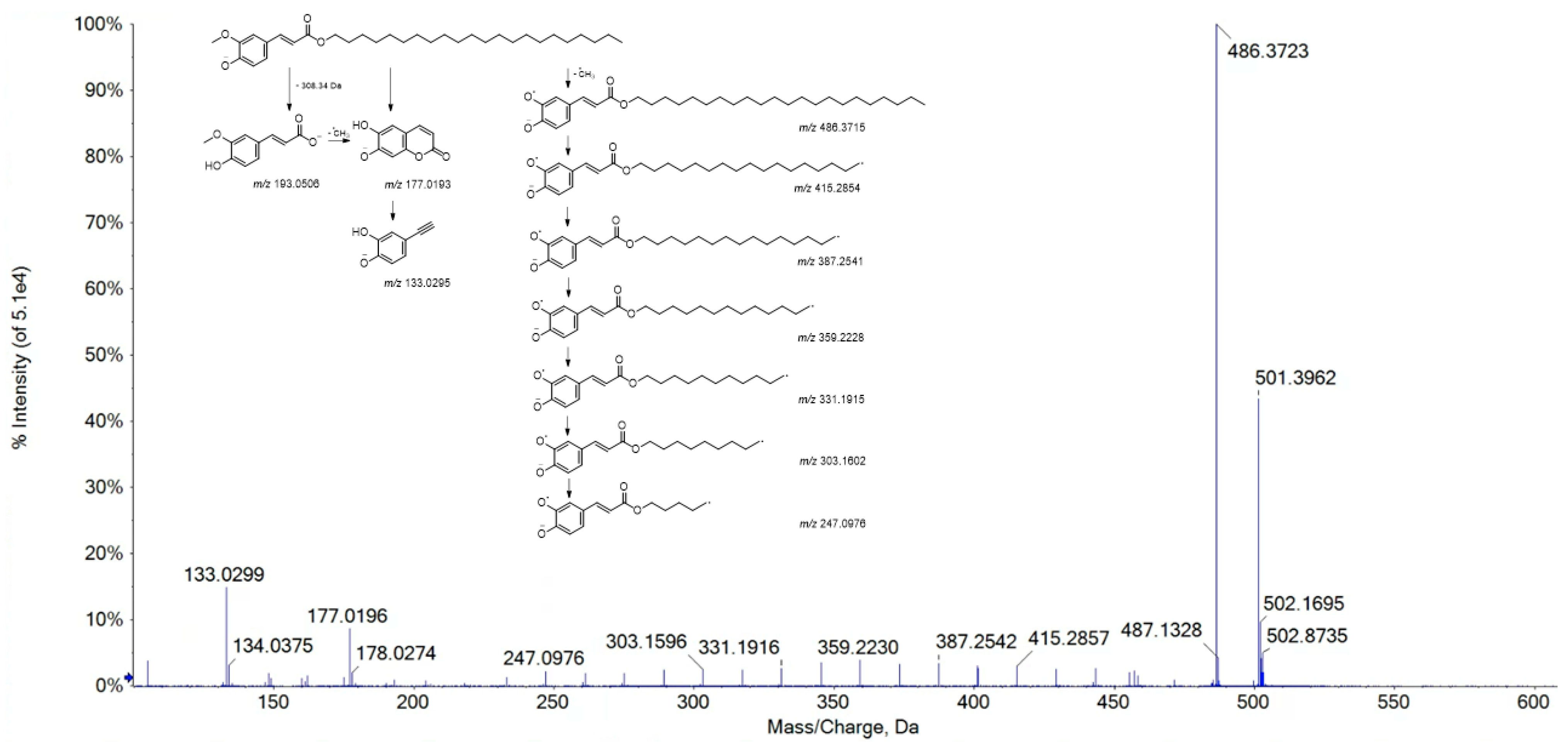 Viruses 15 01648 g003 Viruses 15 01648 g003