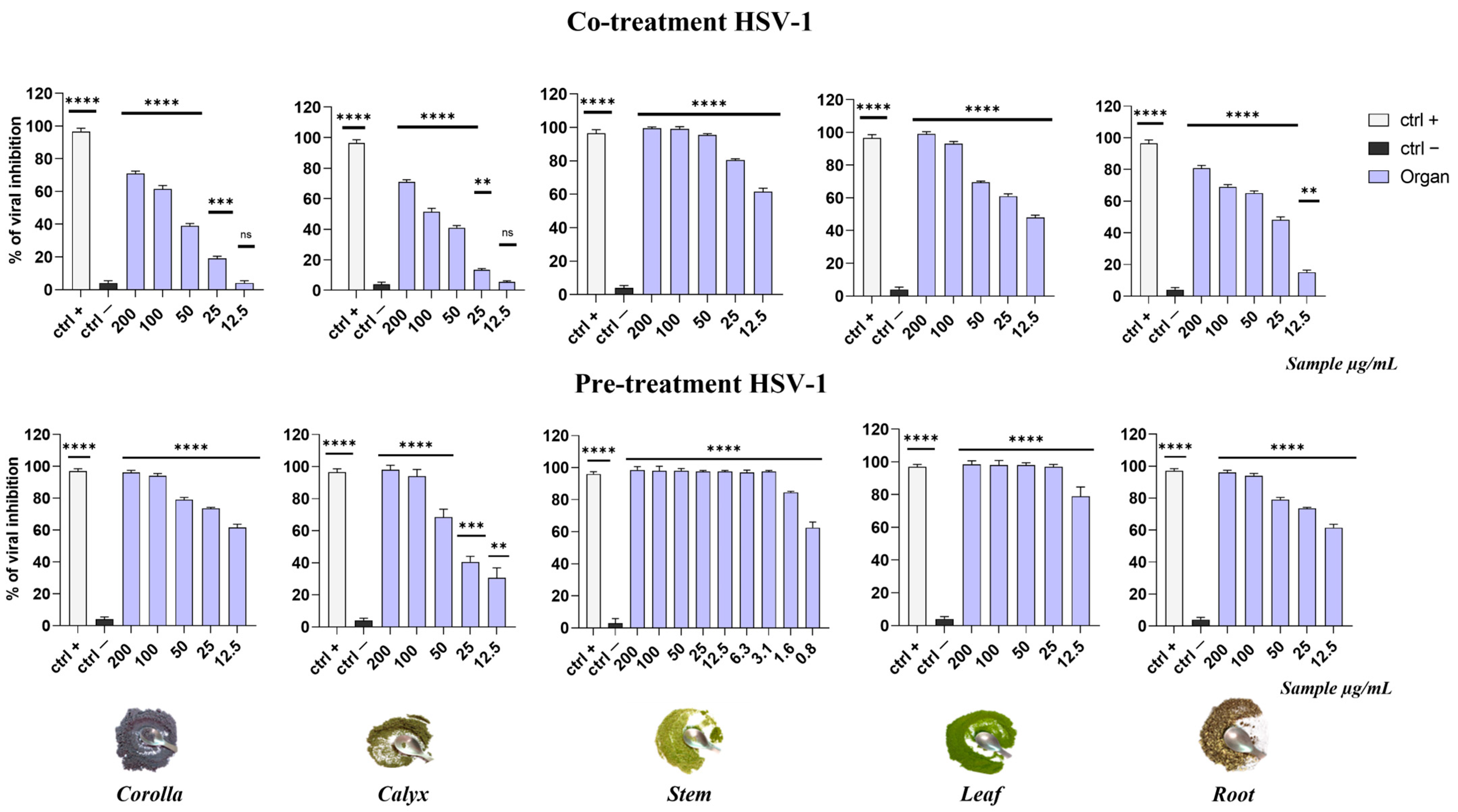 Viruses 15 01648 g005 Viruses 15 01648 g005
