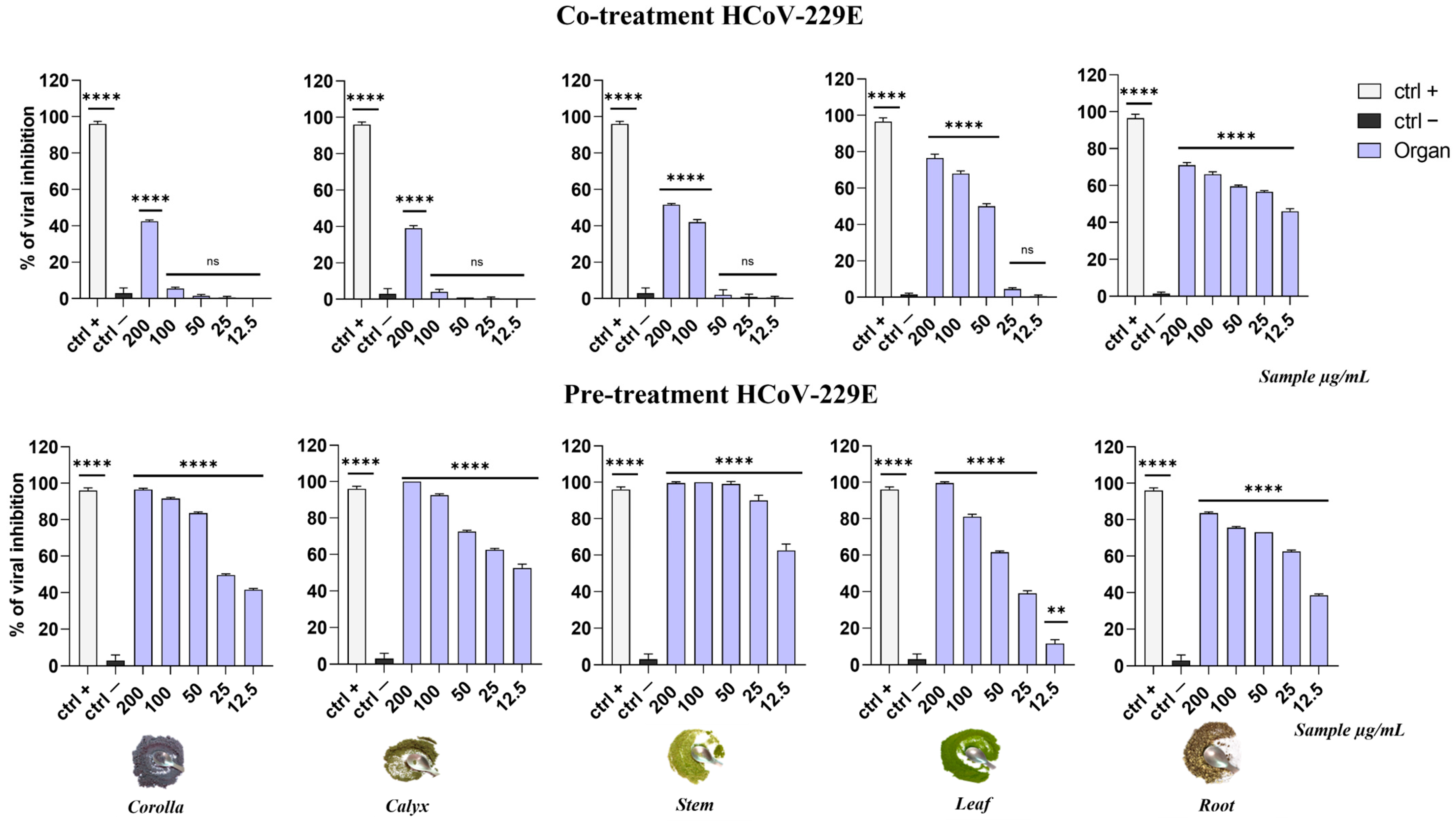 Viruses 15 01648 g006 Viruses 15 01648 g006