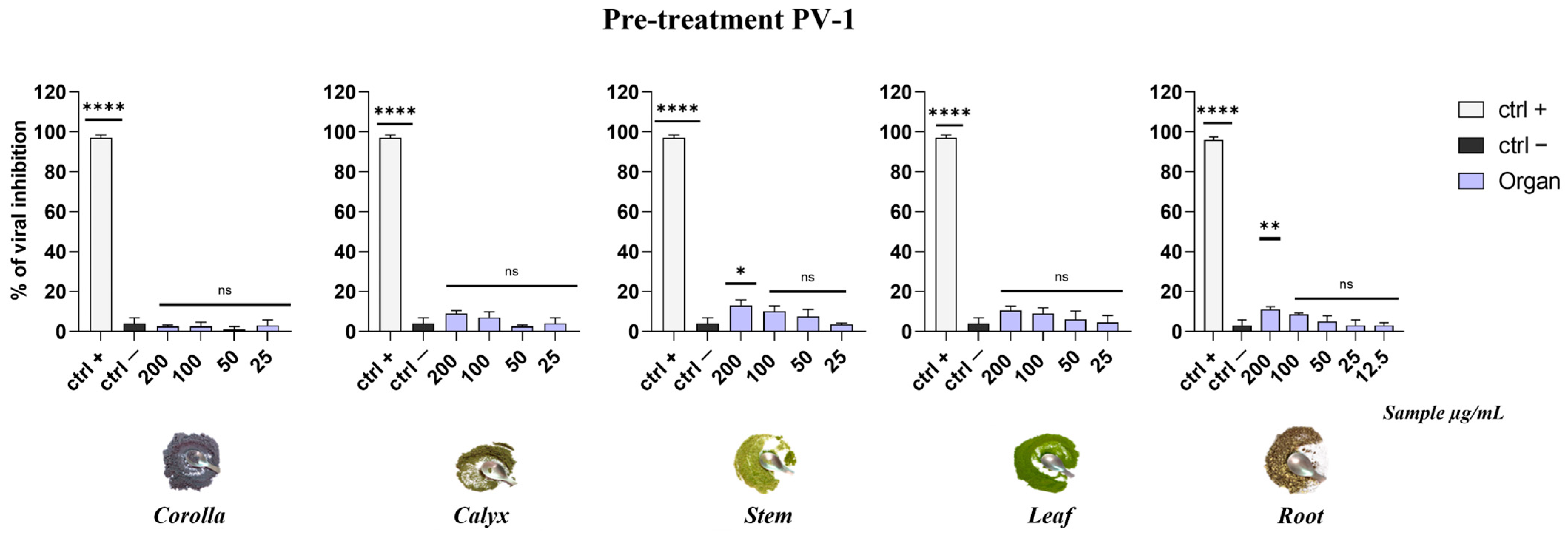 Viruses 15 01648 g007 Viruses 15 01648 g007