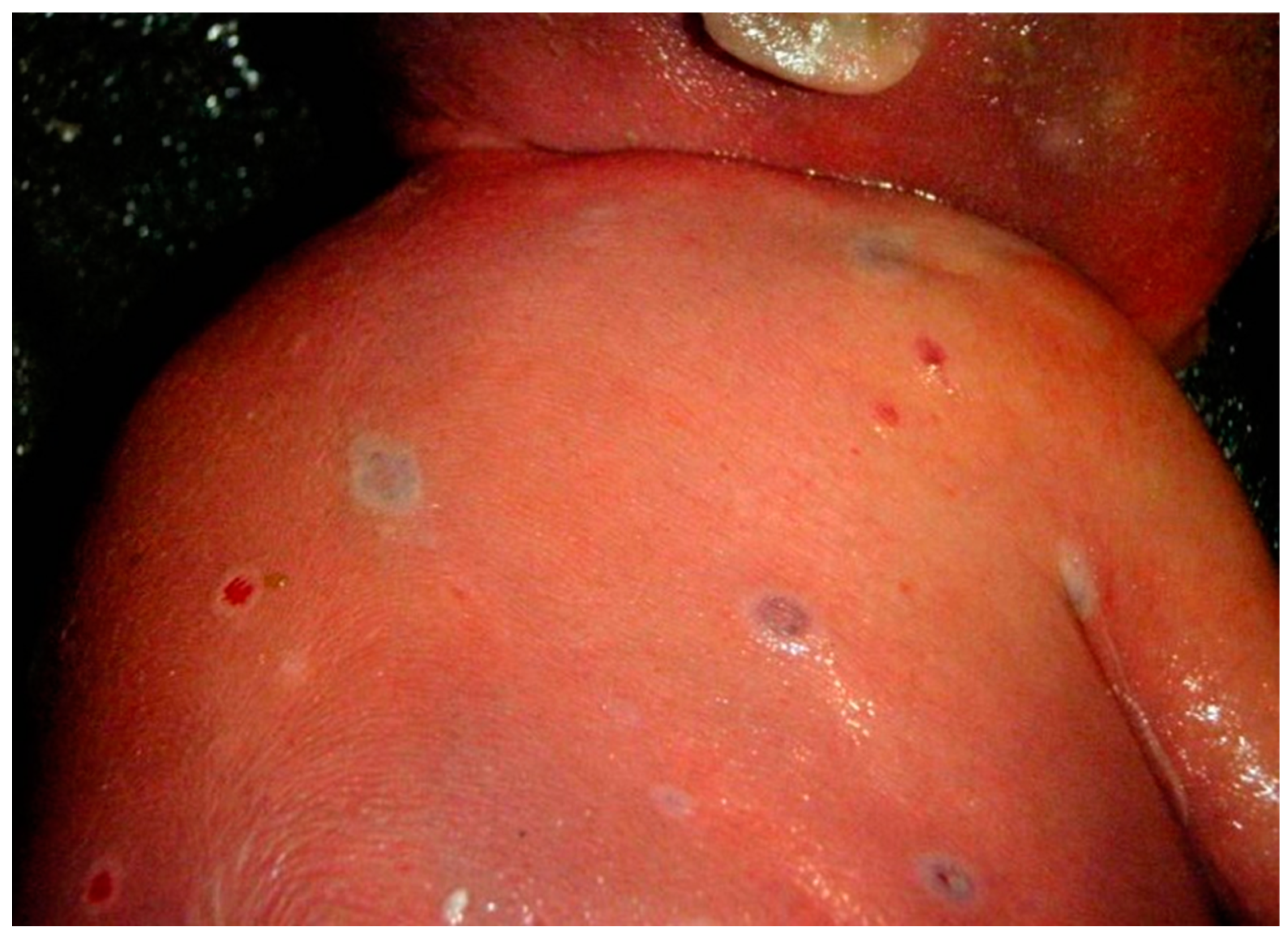 Viruses 15 01649 g001 Viruses 15 01649 g001