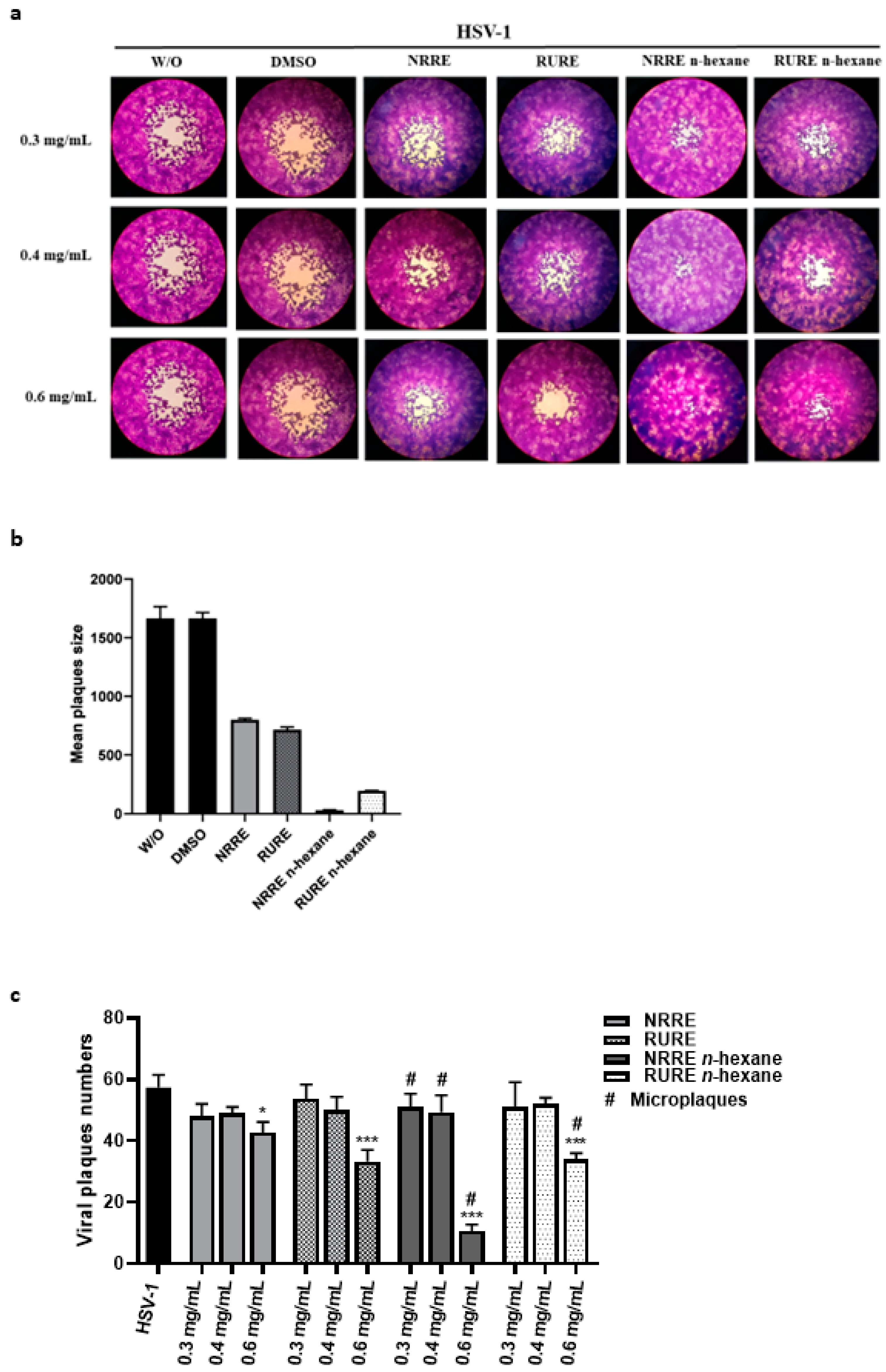 Viruses 15 01651 g002