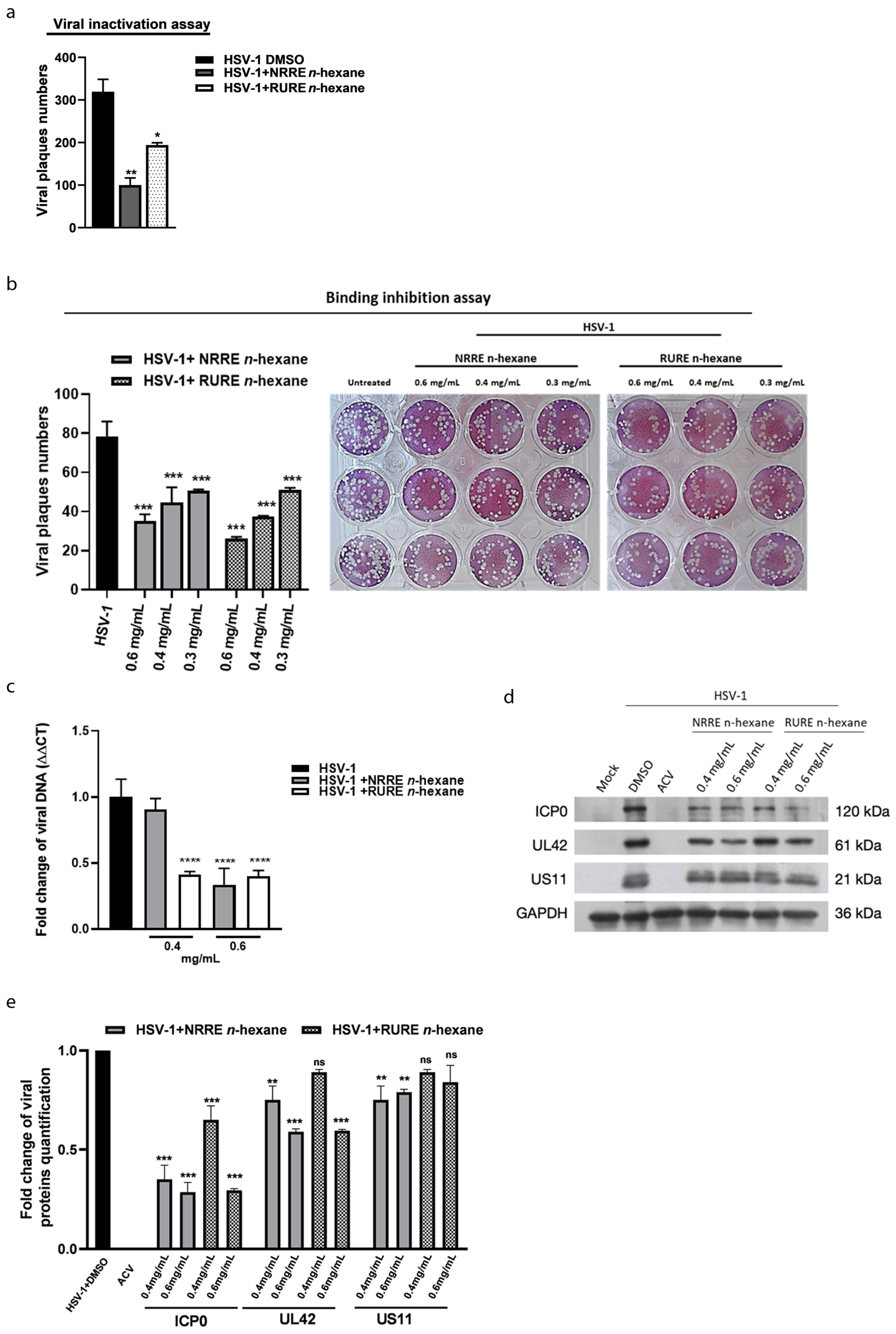 Viruses 15 01651 g003