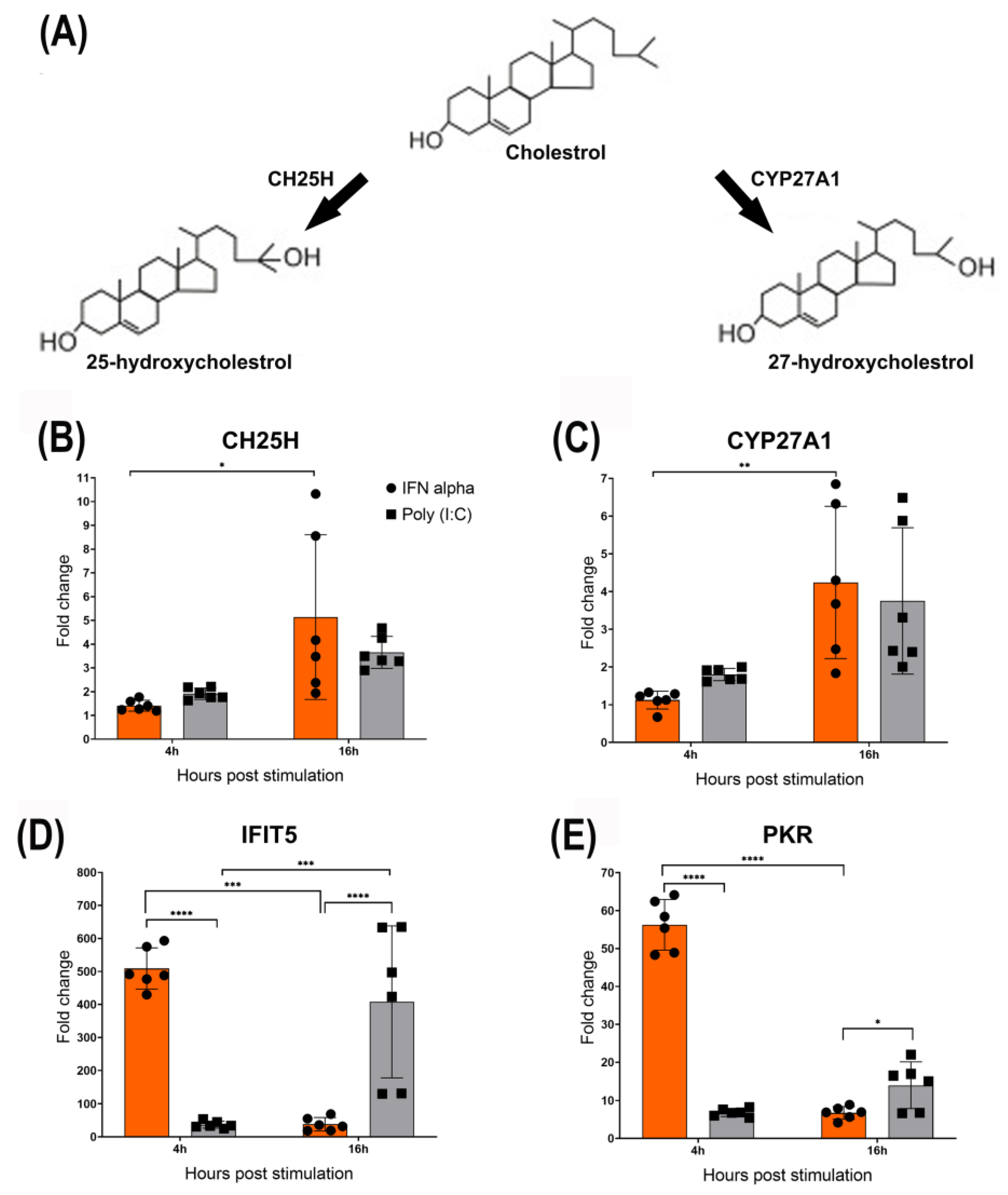 Viruses 15 01652 g002 Viruses 15 01652 g002