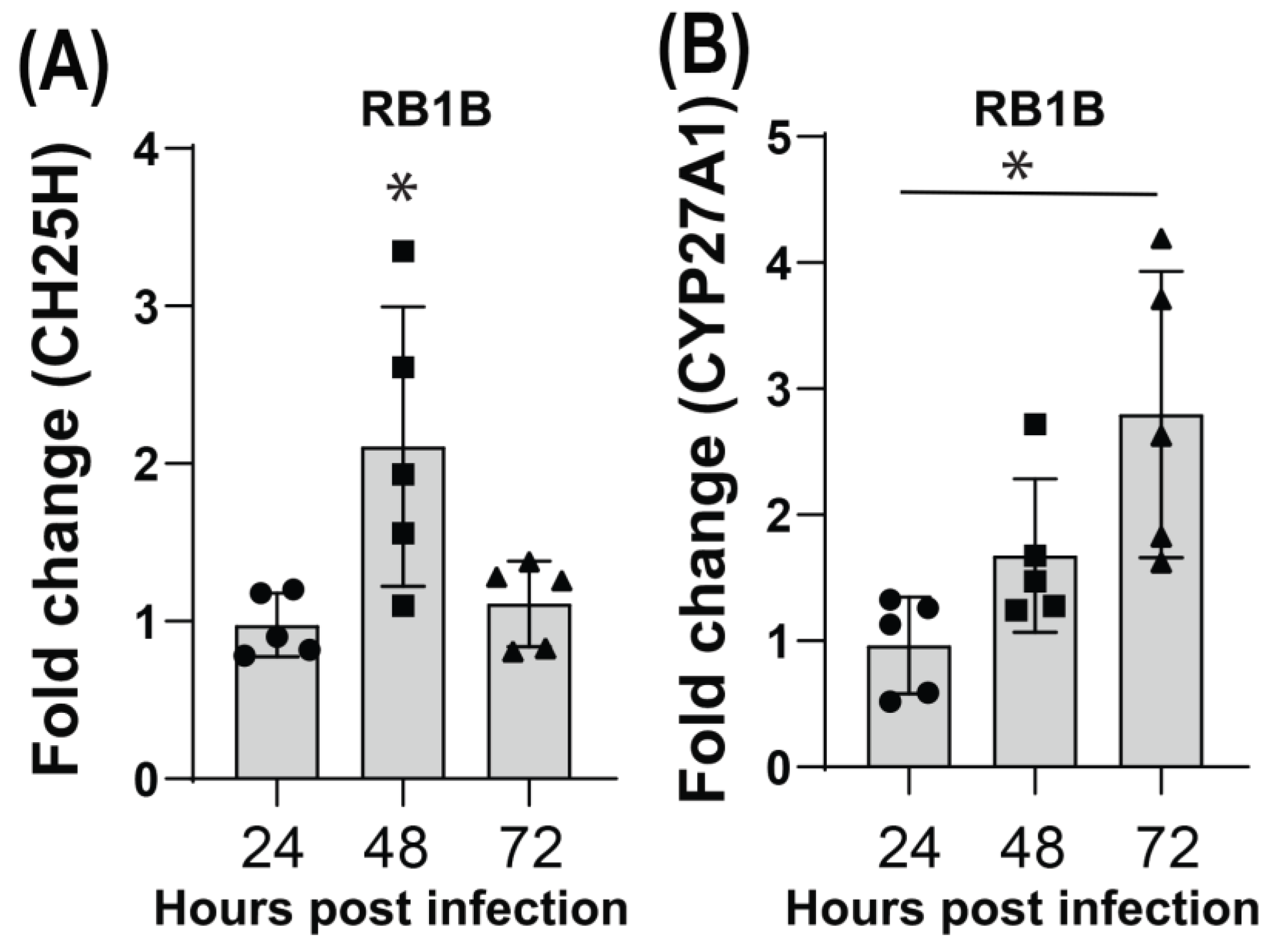 Viruses 15 01652 g003 Viruses 15 01652 g003