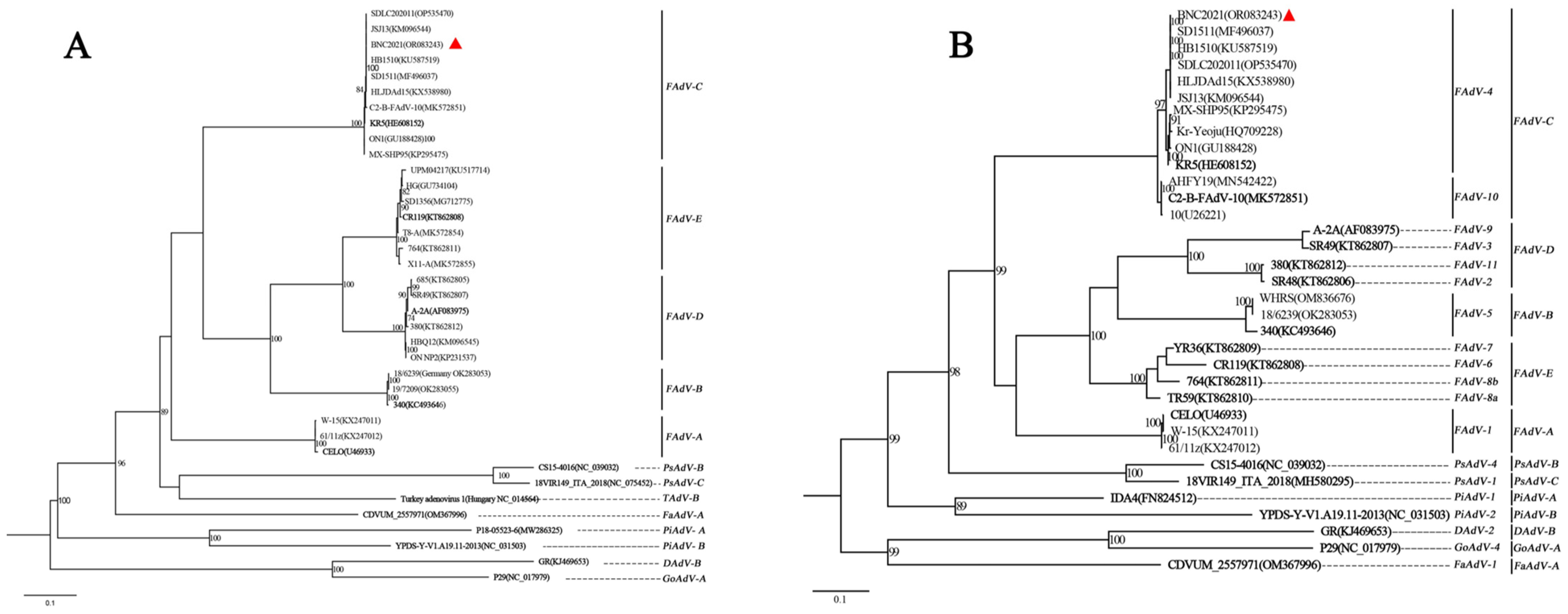 Viruses 15 01653 g001