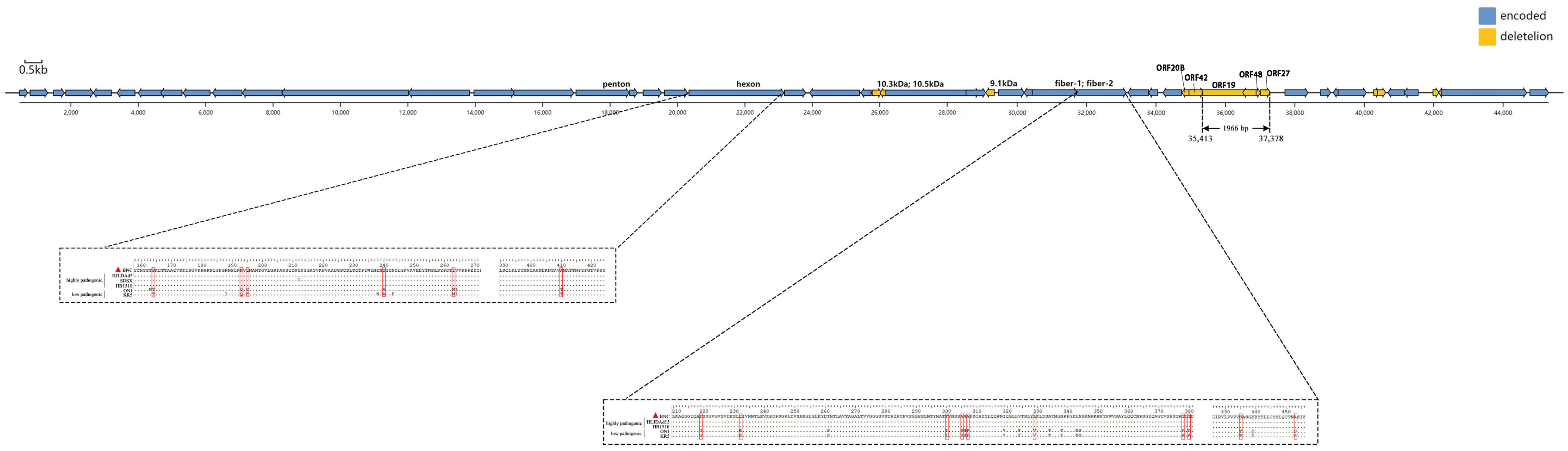 Viruses 15 01653 g002