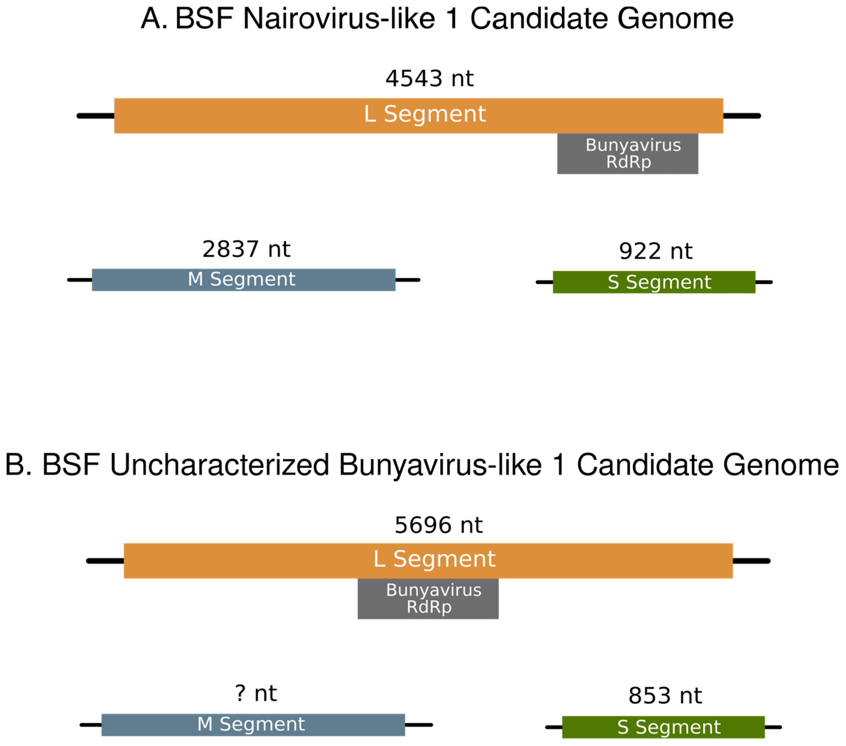 Viruses 15 01654 g003 Viruses 15 01654 g003