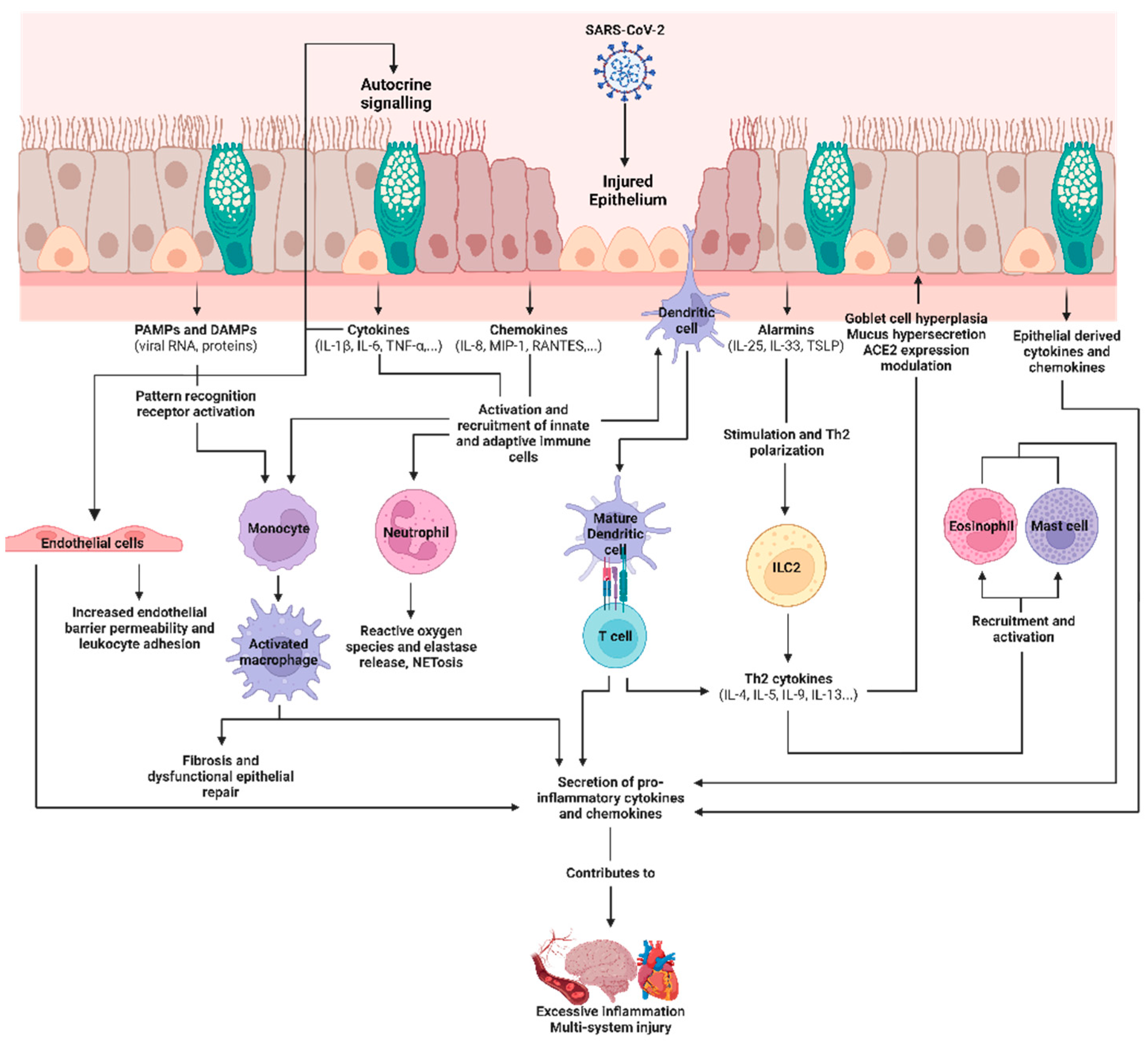 Viruses 15 01655 g003 Viruses 15 01655 g003