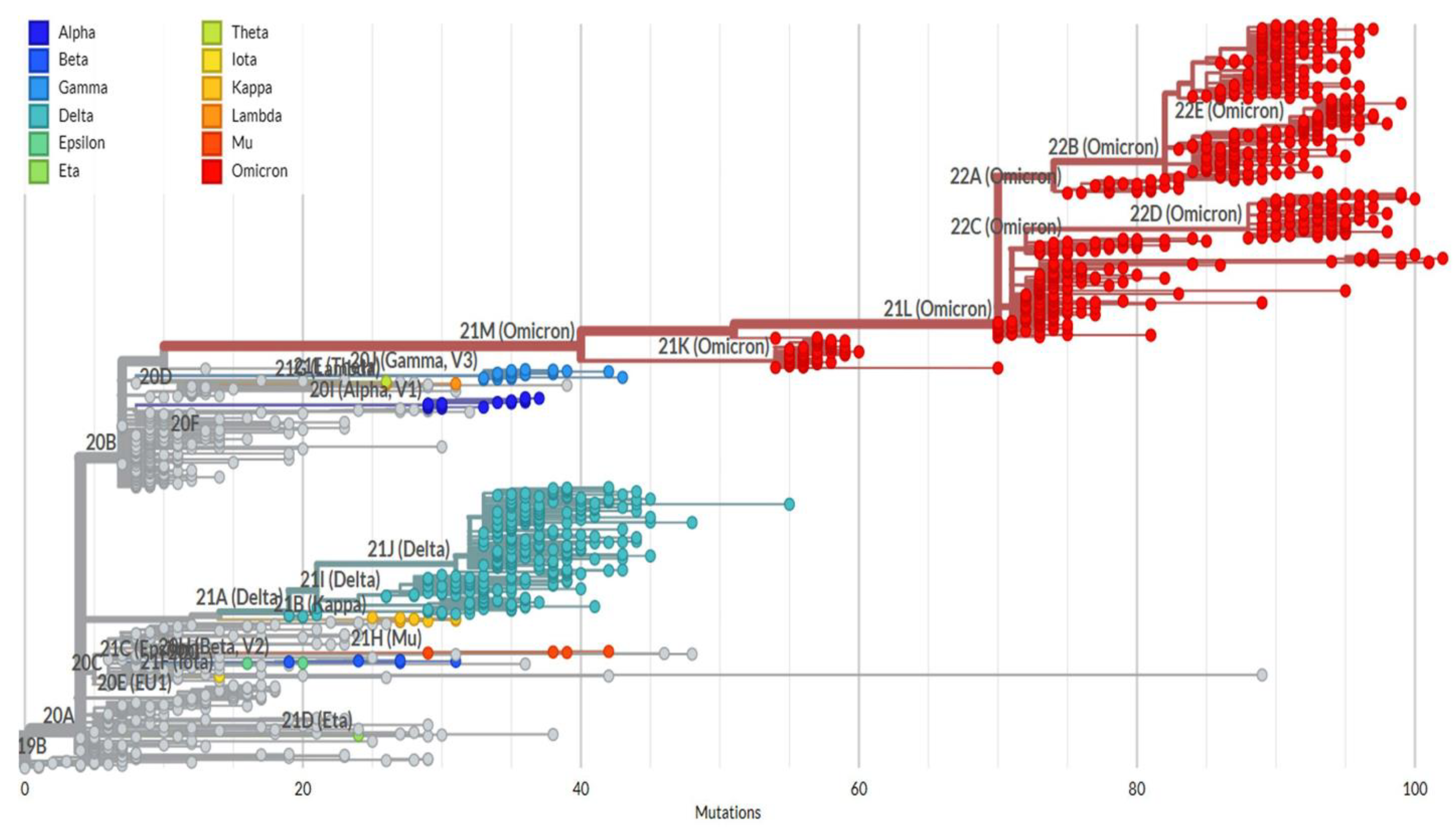 Viruses 15 01656 g003 Viruses 15 01656 g003