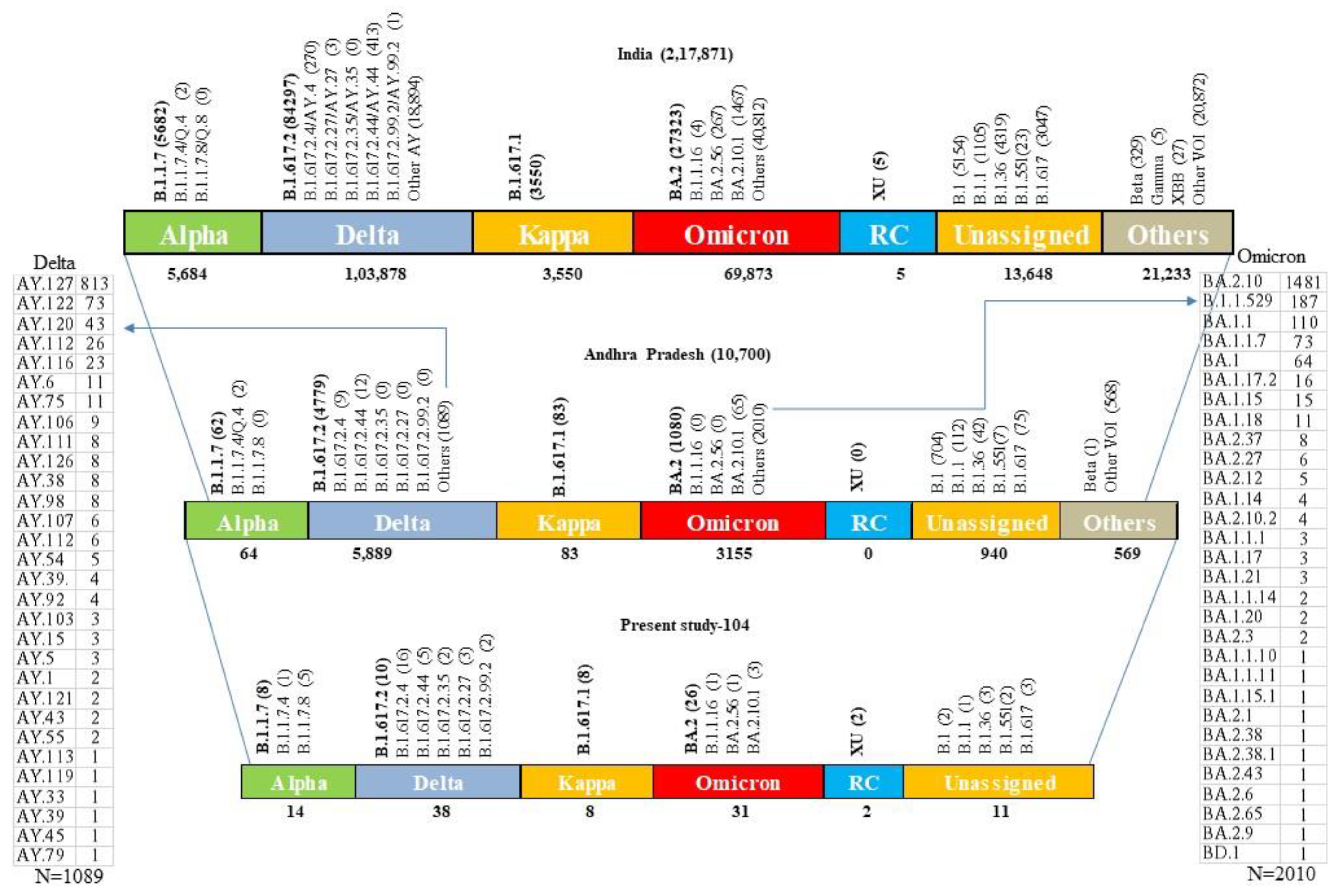 Viruses 15 01656 g005 Viruses 15 01656 g005