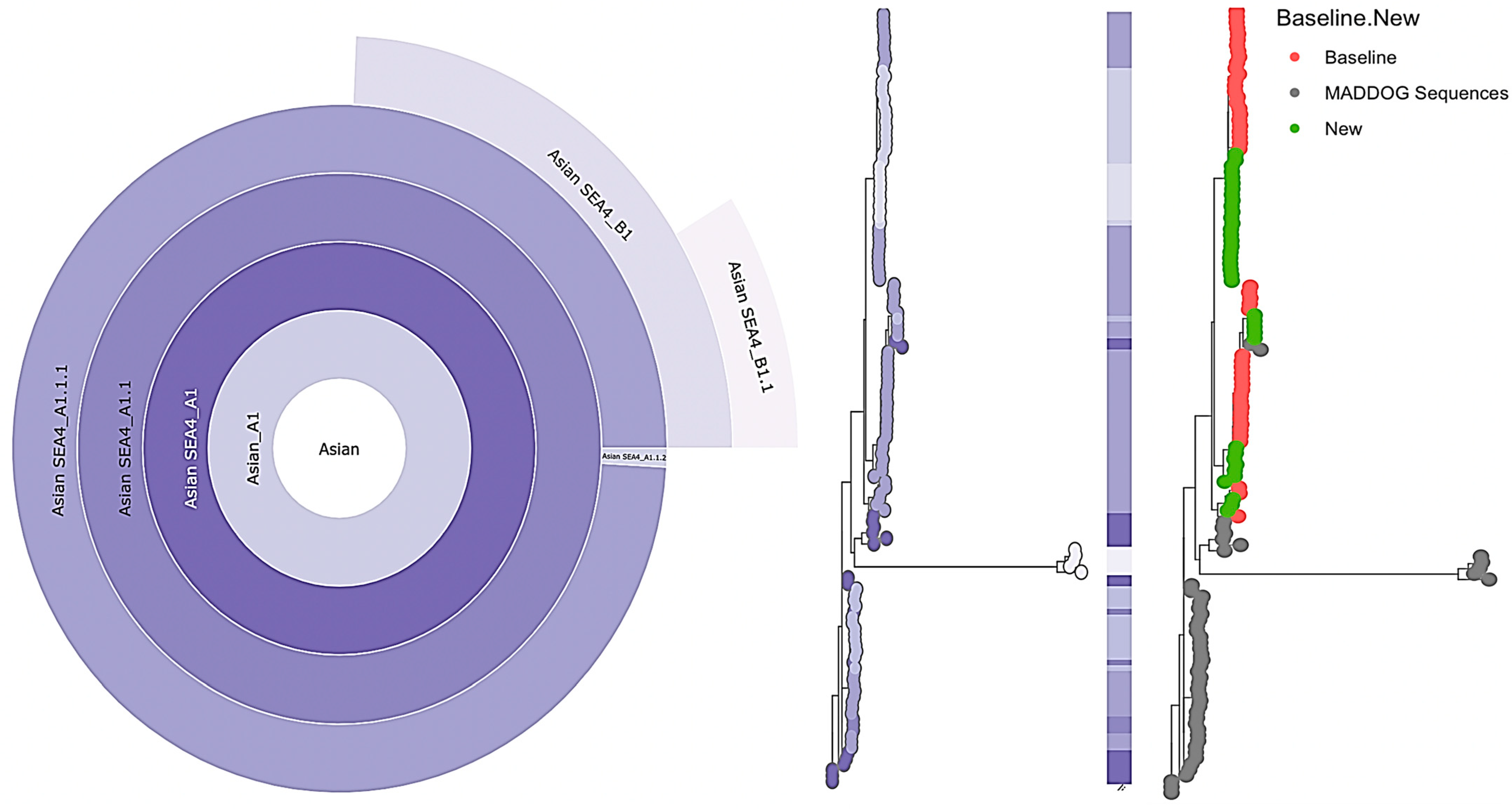 Viruses 15 01658 g002