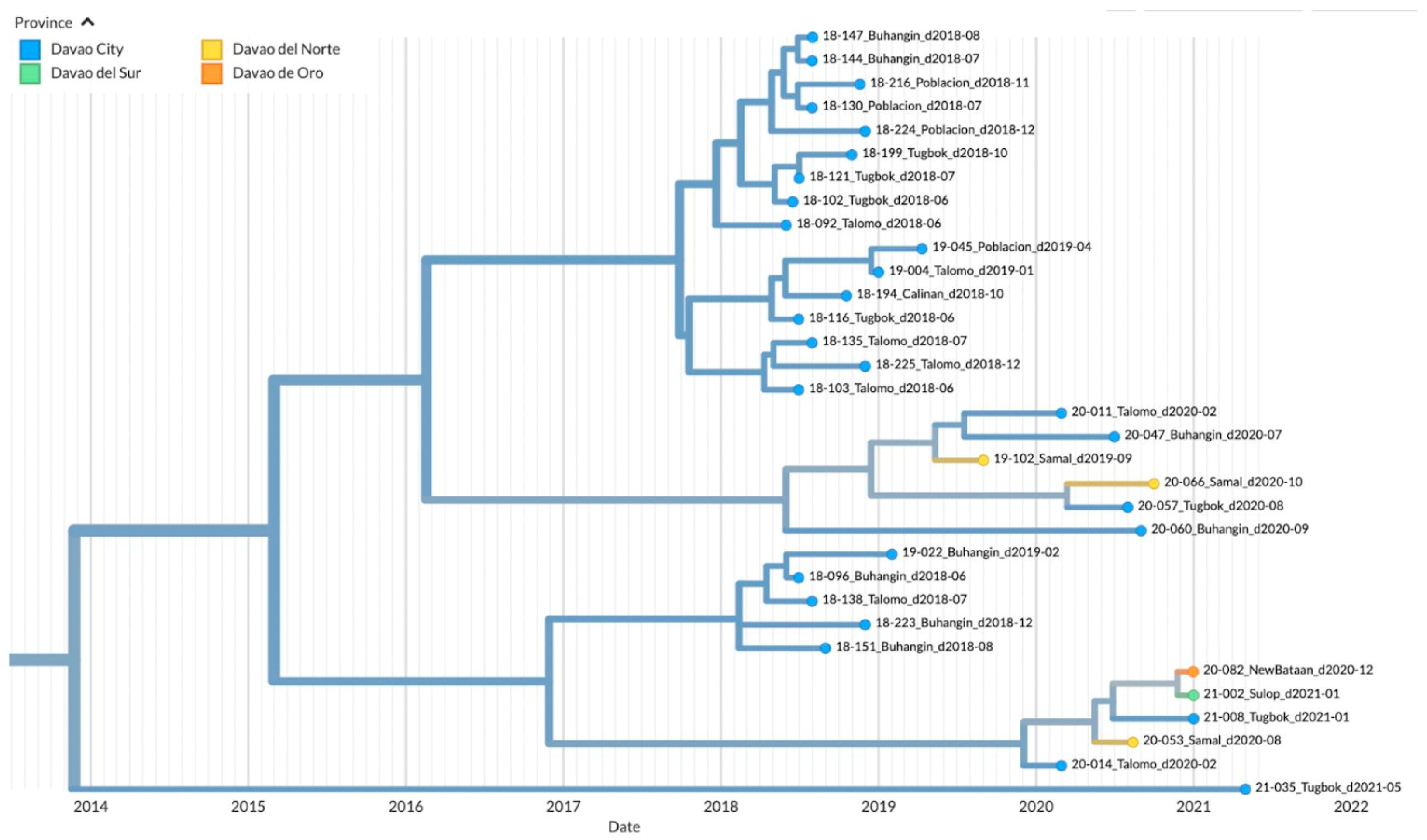 Viruses 15 01658 g005