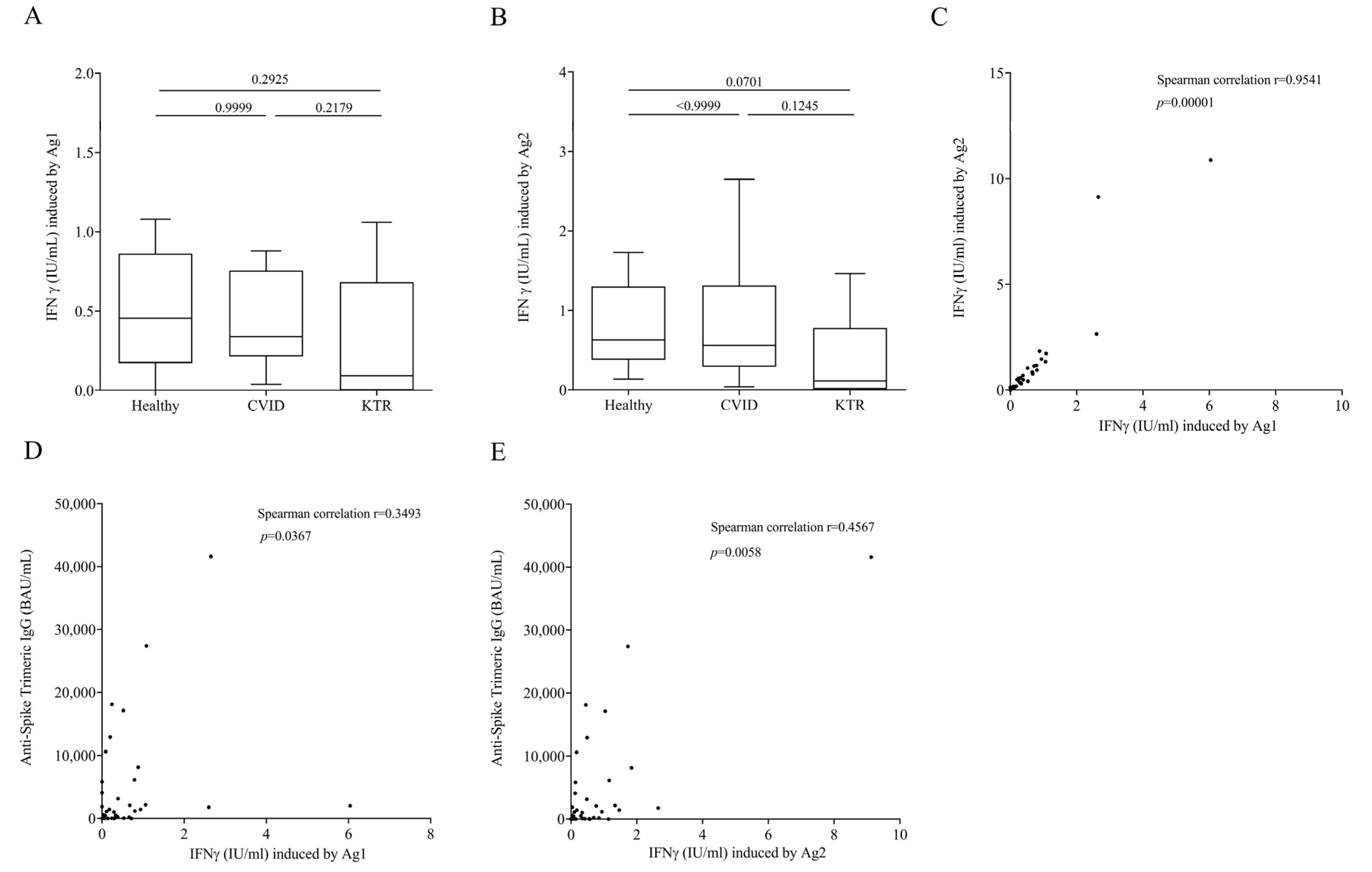 Viruses 15 01659 g002 Viruses 15 01659 g002