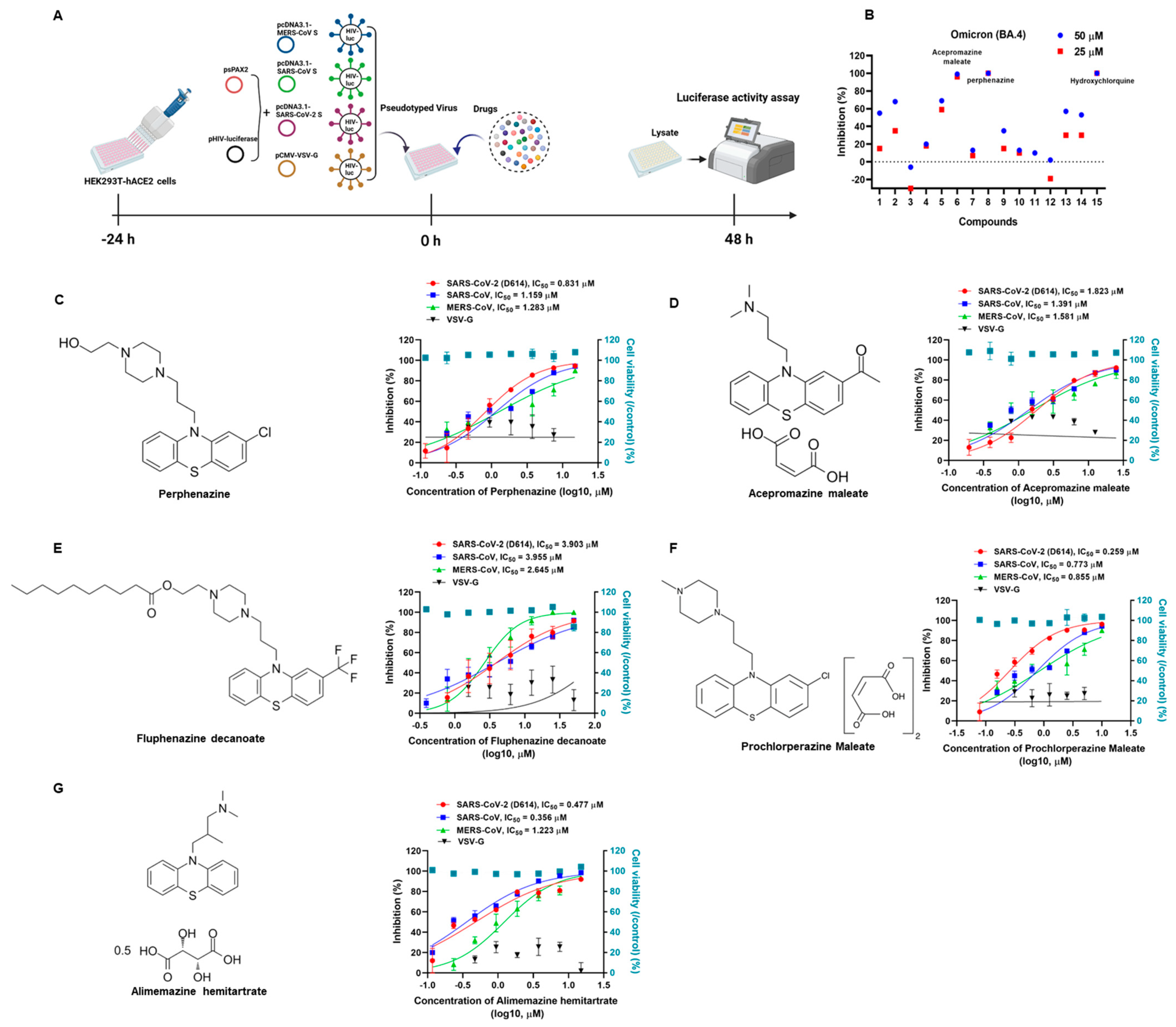 Viruses 15 01666 g001
