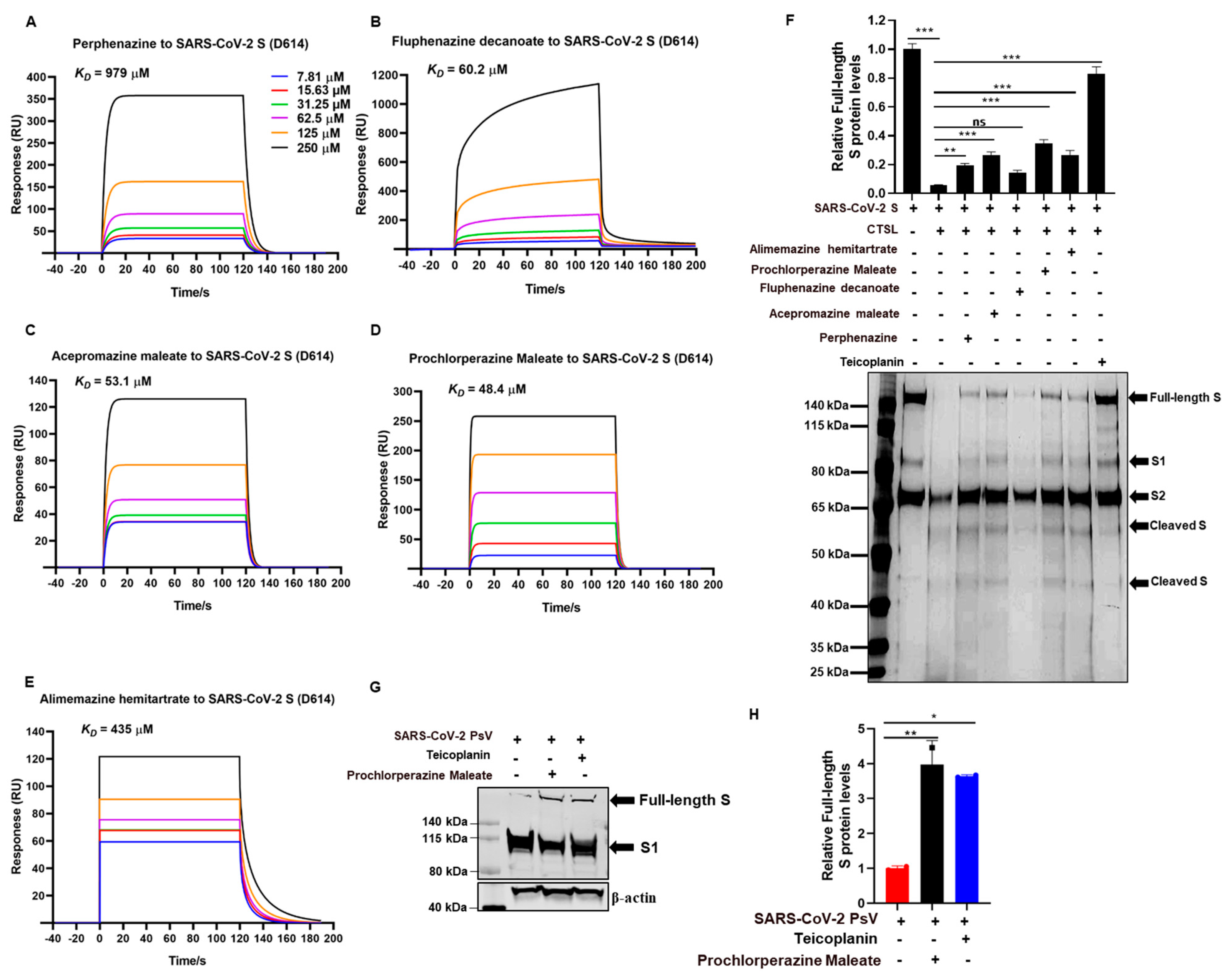 Viruses 15 01666 g004