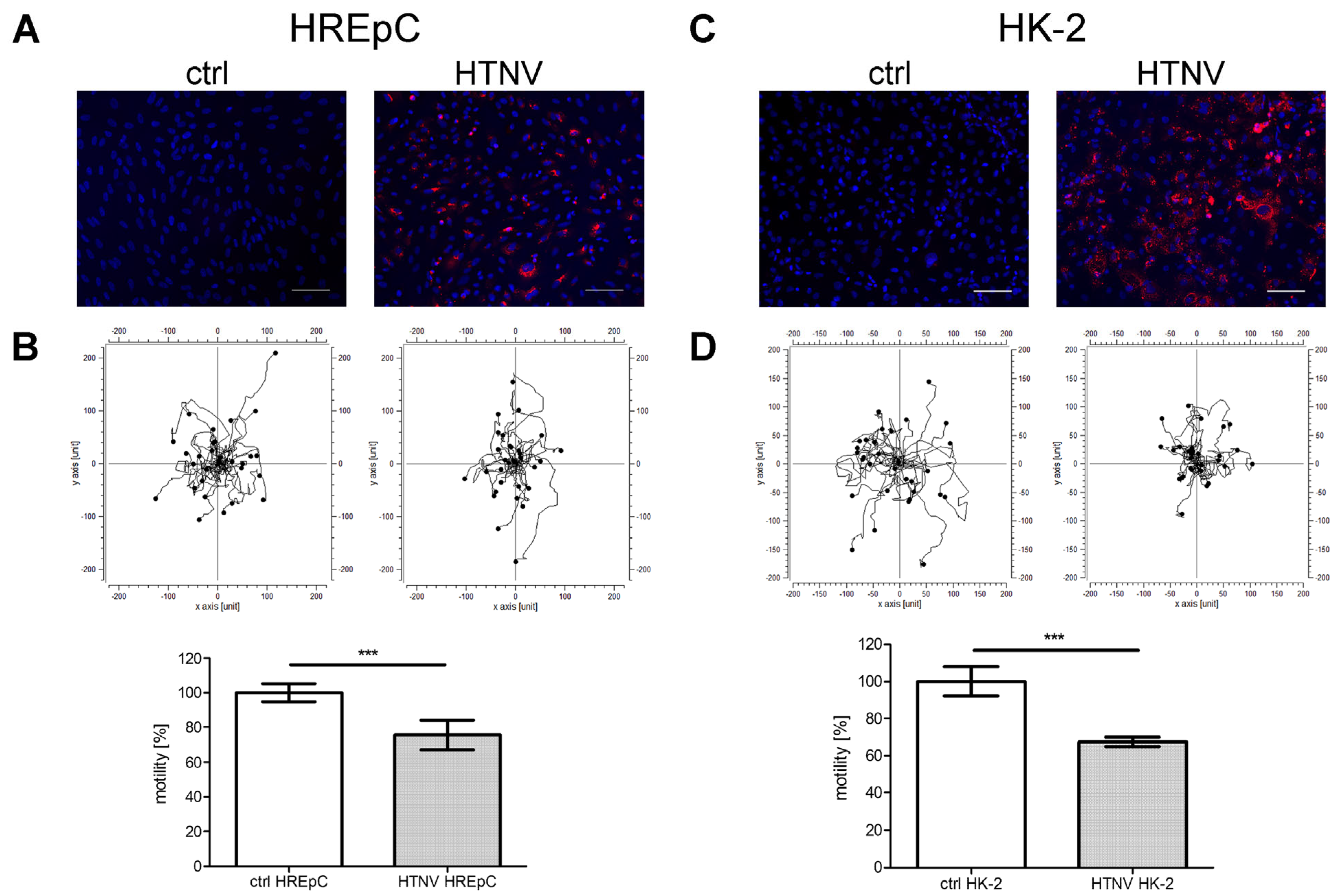 Viruses 15 01670 g005 Viruses 15 01670 g005
