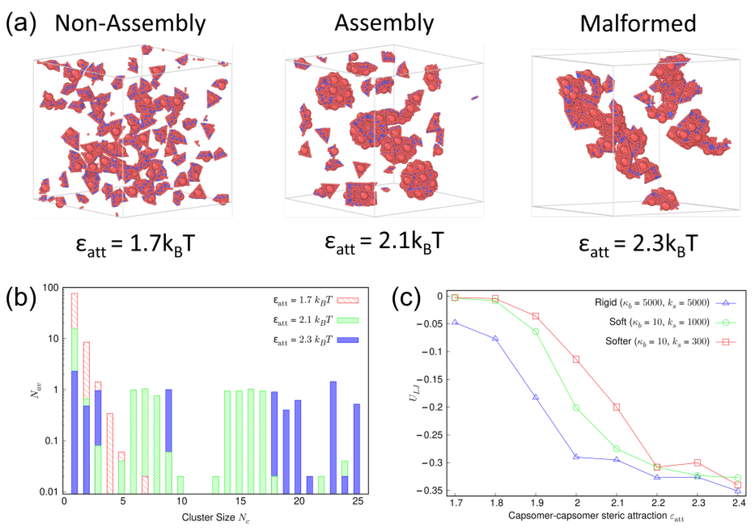 Viruses 15 01672 g004 Viruses 15 01672 g004