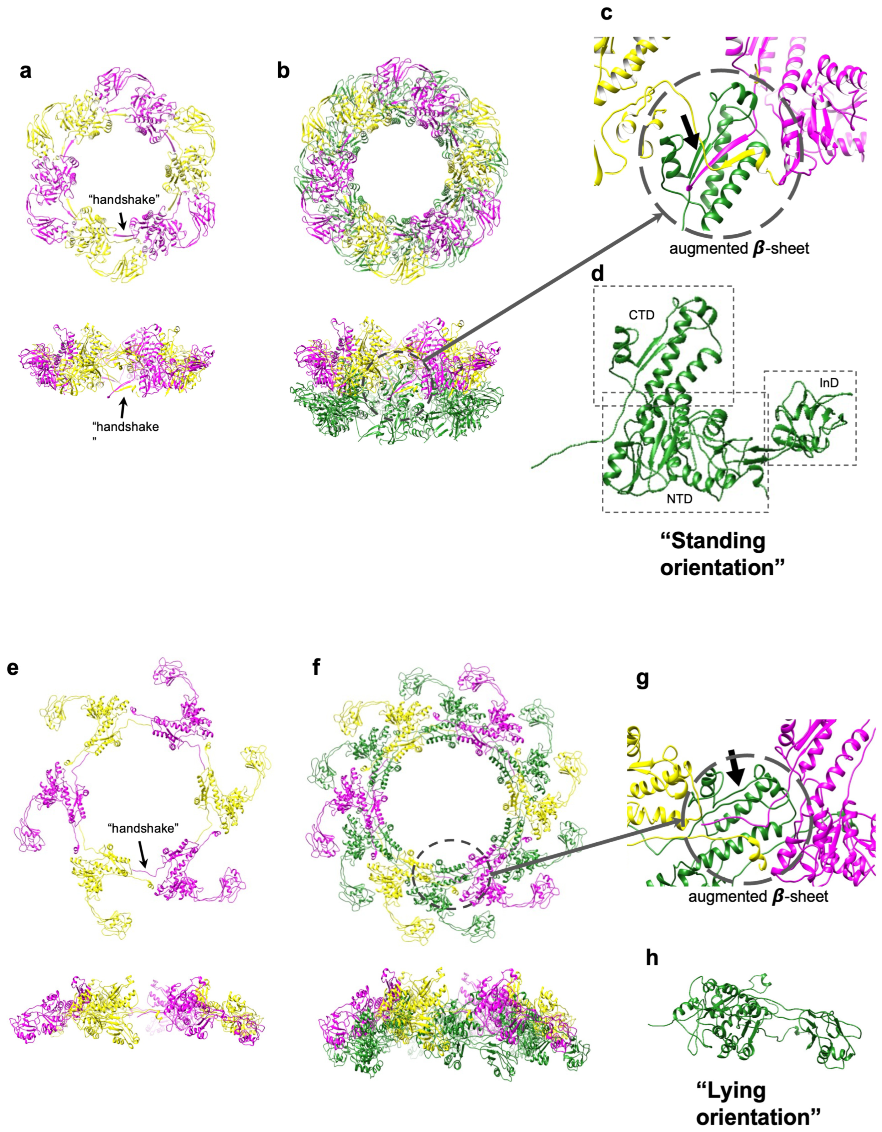 Viruses 15 01673 g003