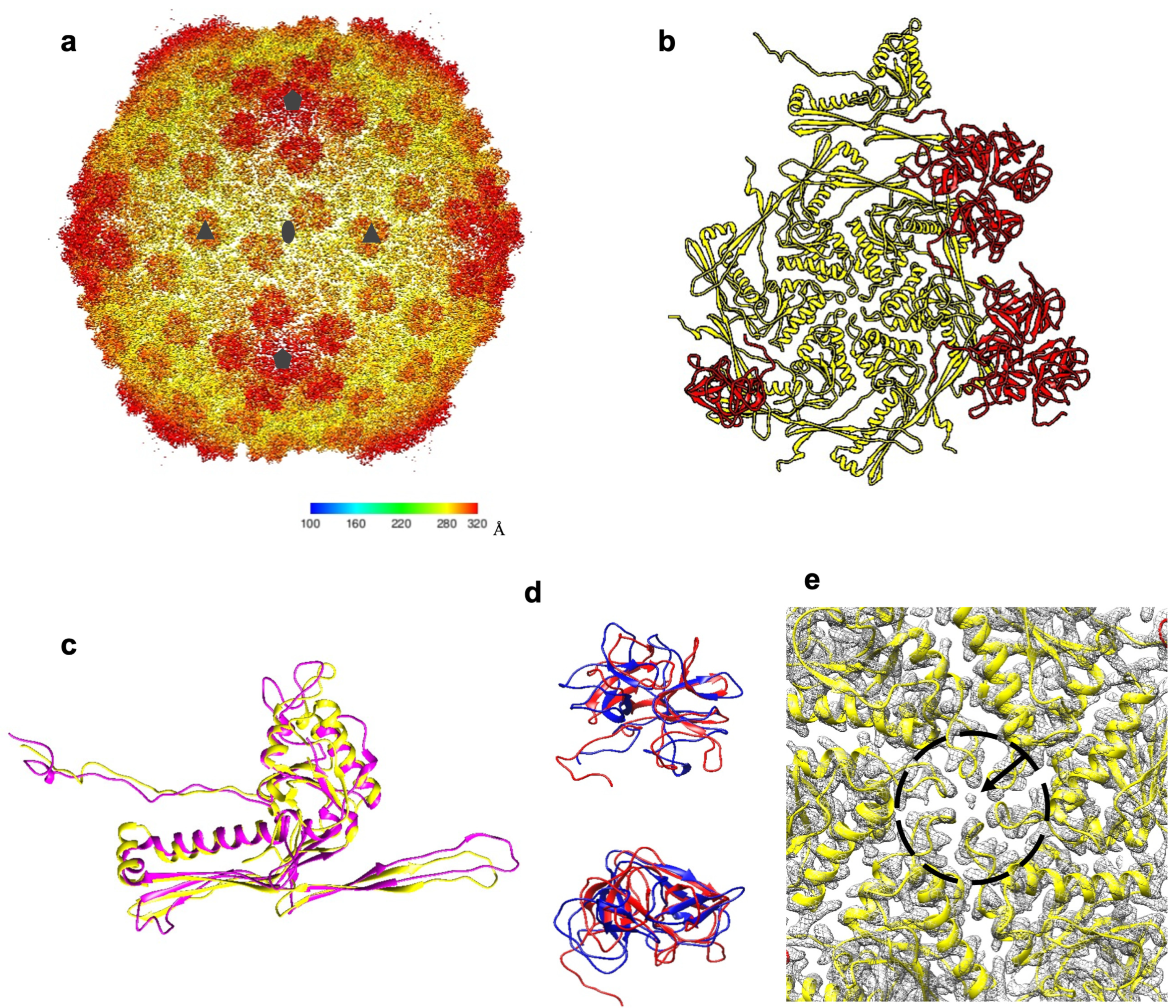 Viruses 15 01673 g006