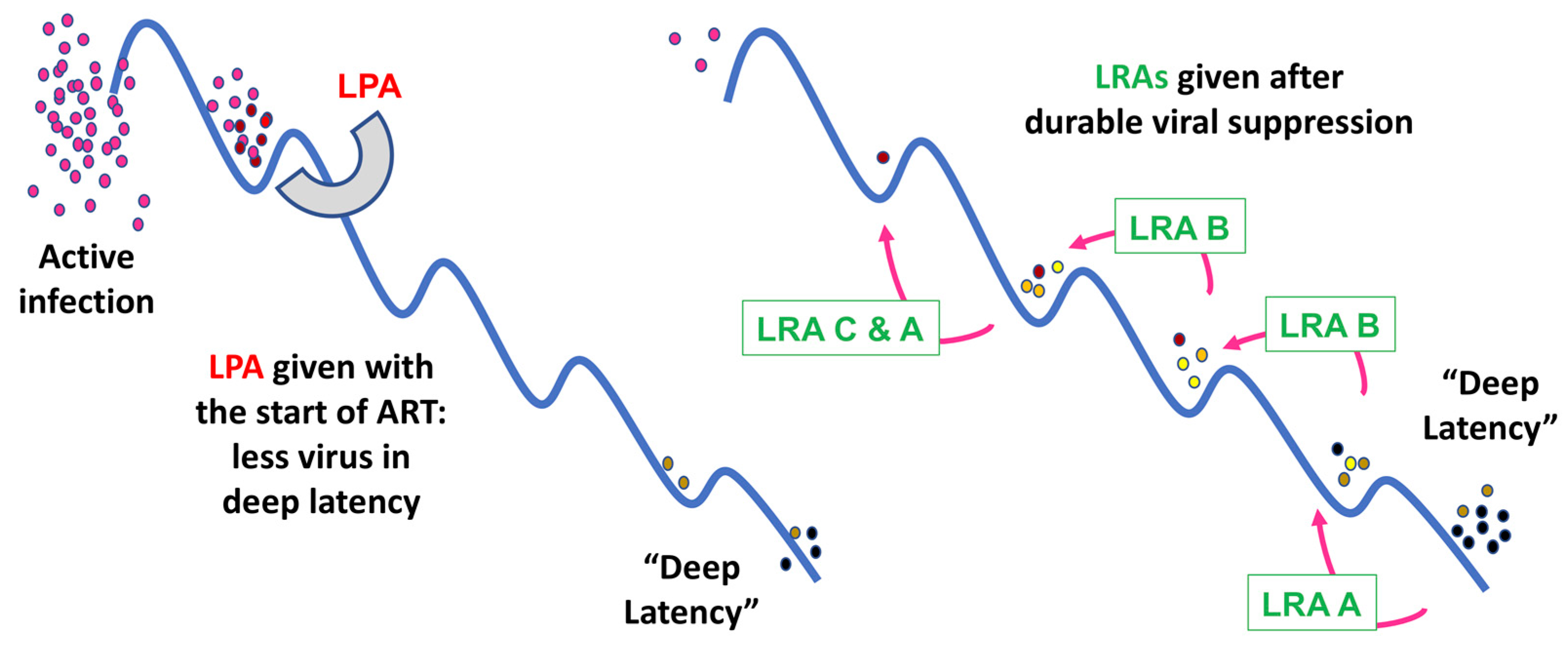 Viruses 15 01677 g002 Viruses 15 01677 g002