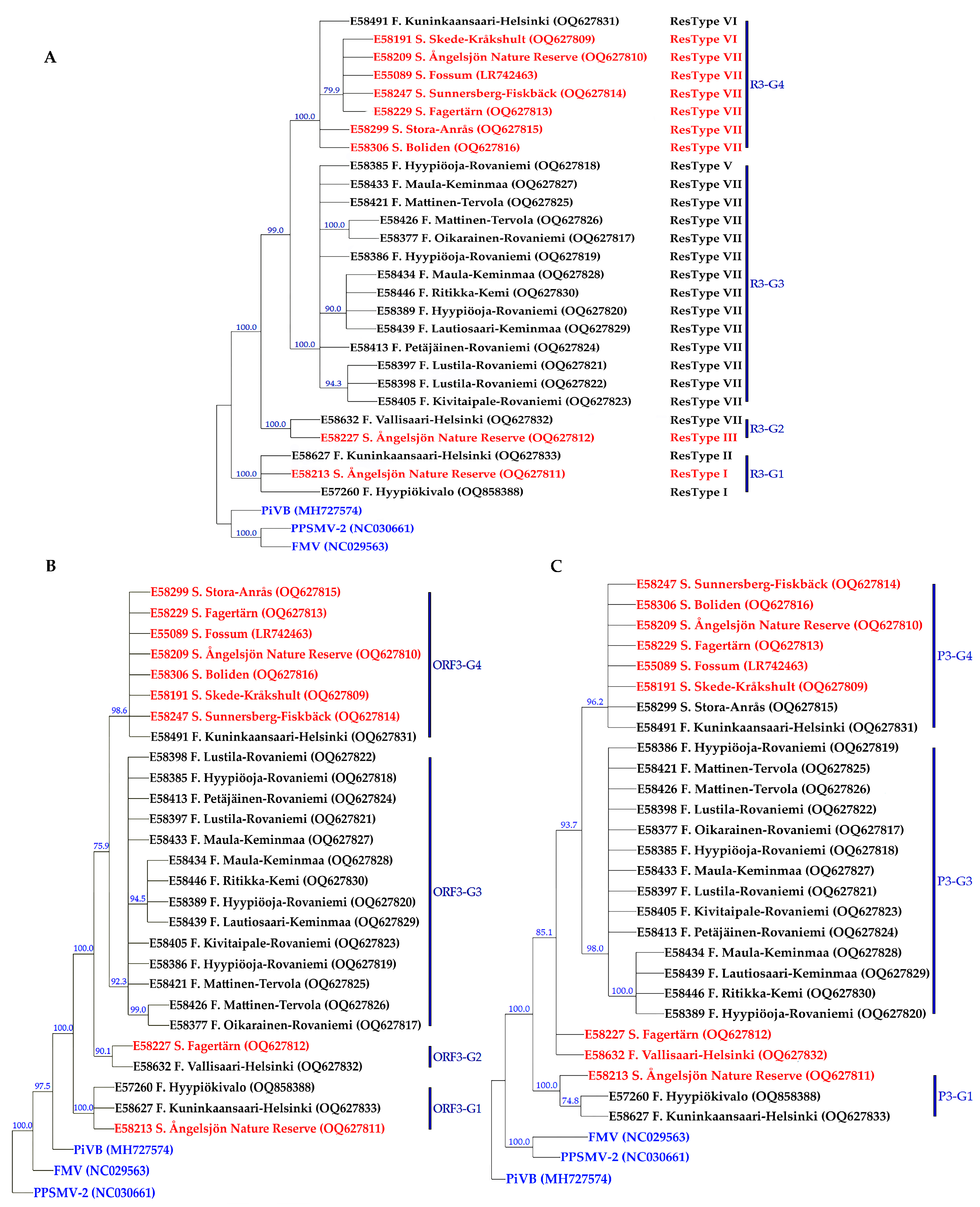 Viruses 15 01678 g002 Viruses 15 01678 g002