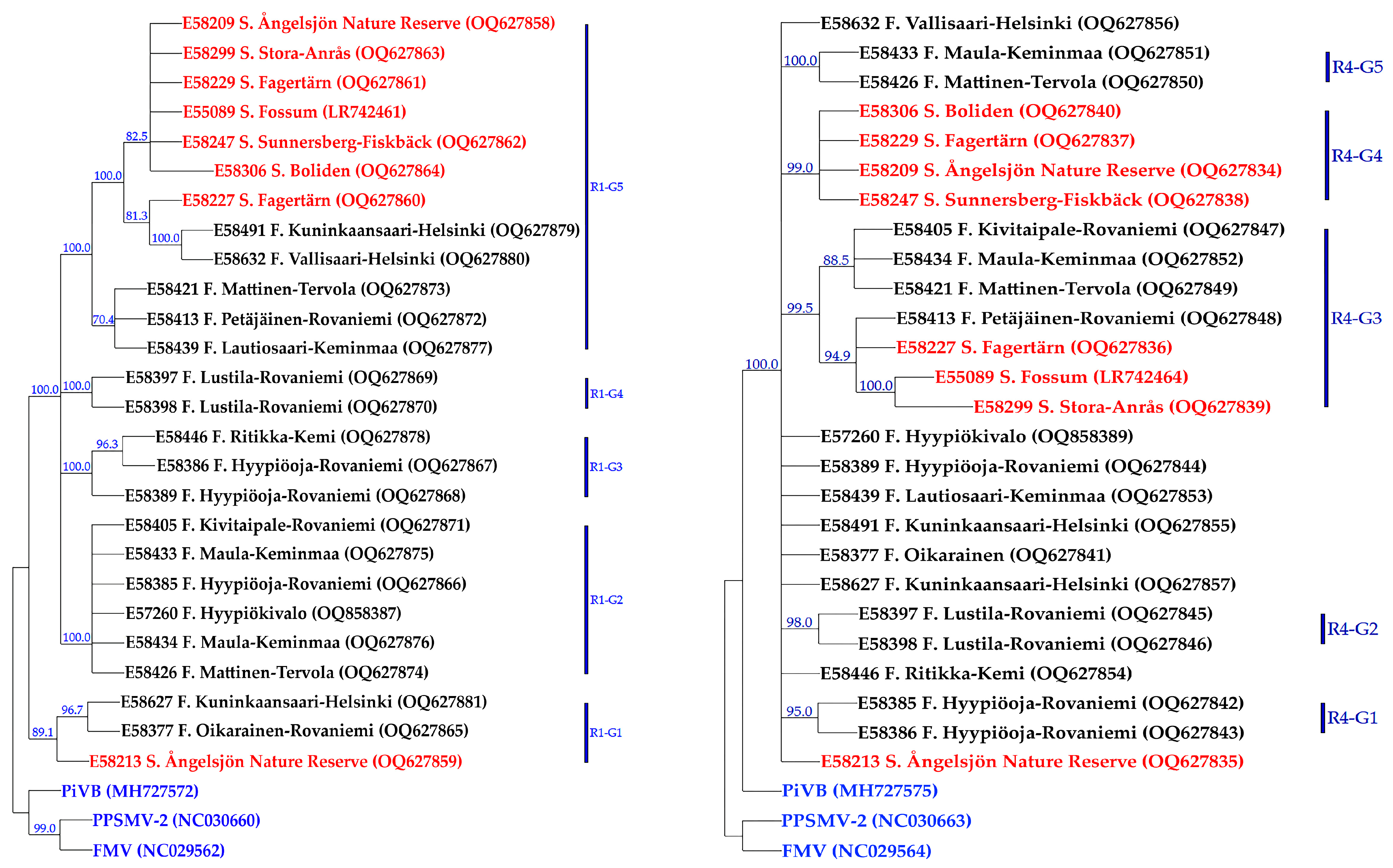 Viruses 15 01678 g003 Viruses 15 01678 g003
