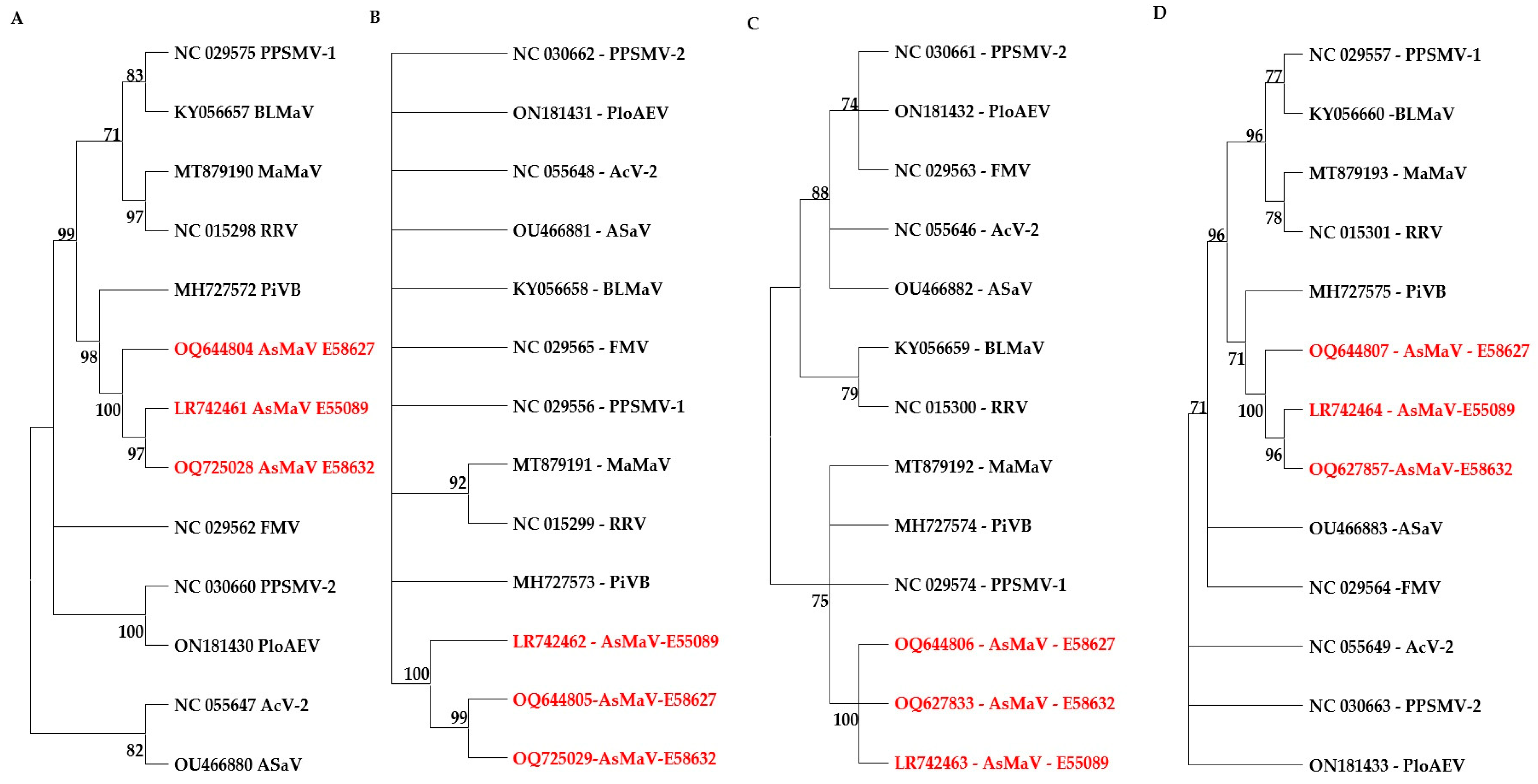 Viruses 15 01678 g005 Viruses 15 01678 g005