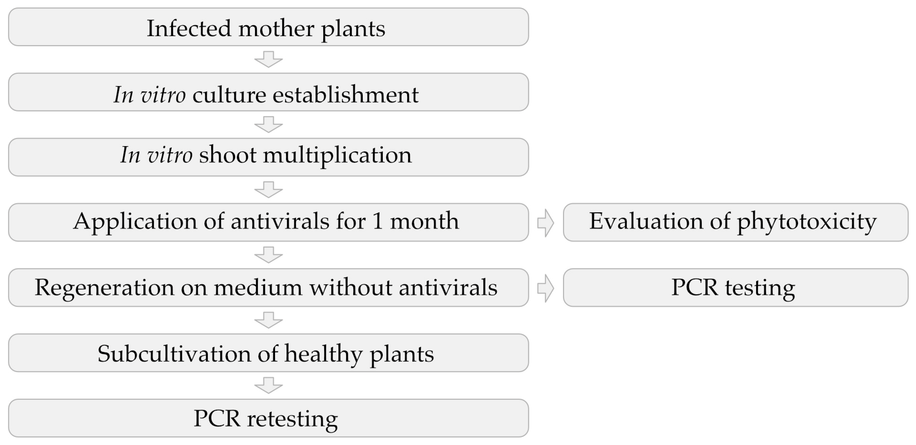 Viruses 15 01684 g001 Viruses 15 01684 g001