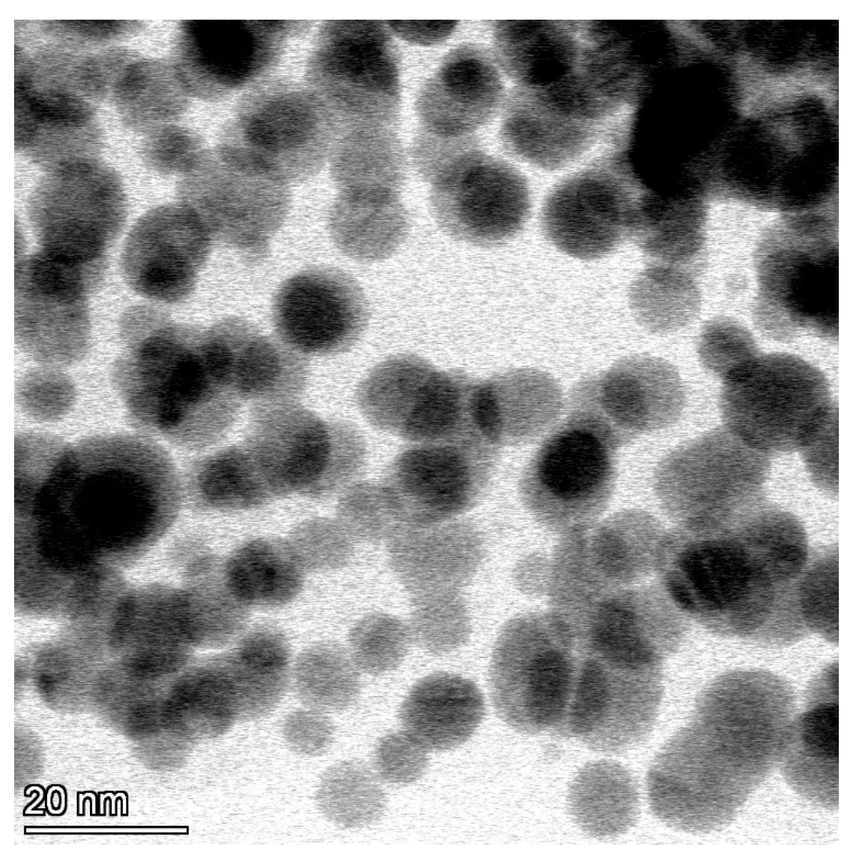 Viruses 15 01689 g001 Viruses 15 01689 g001