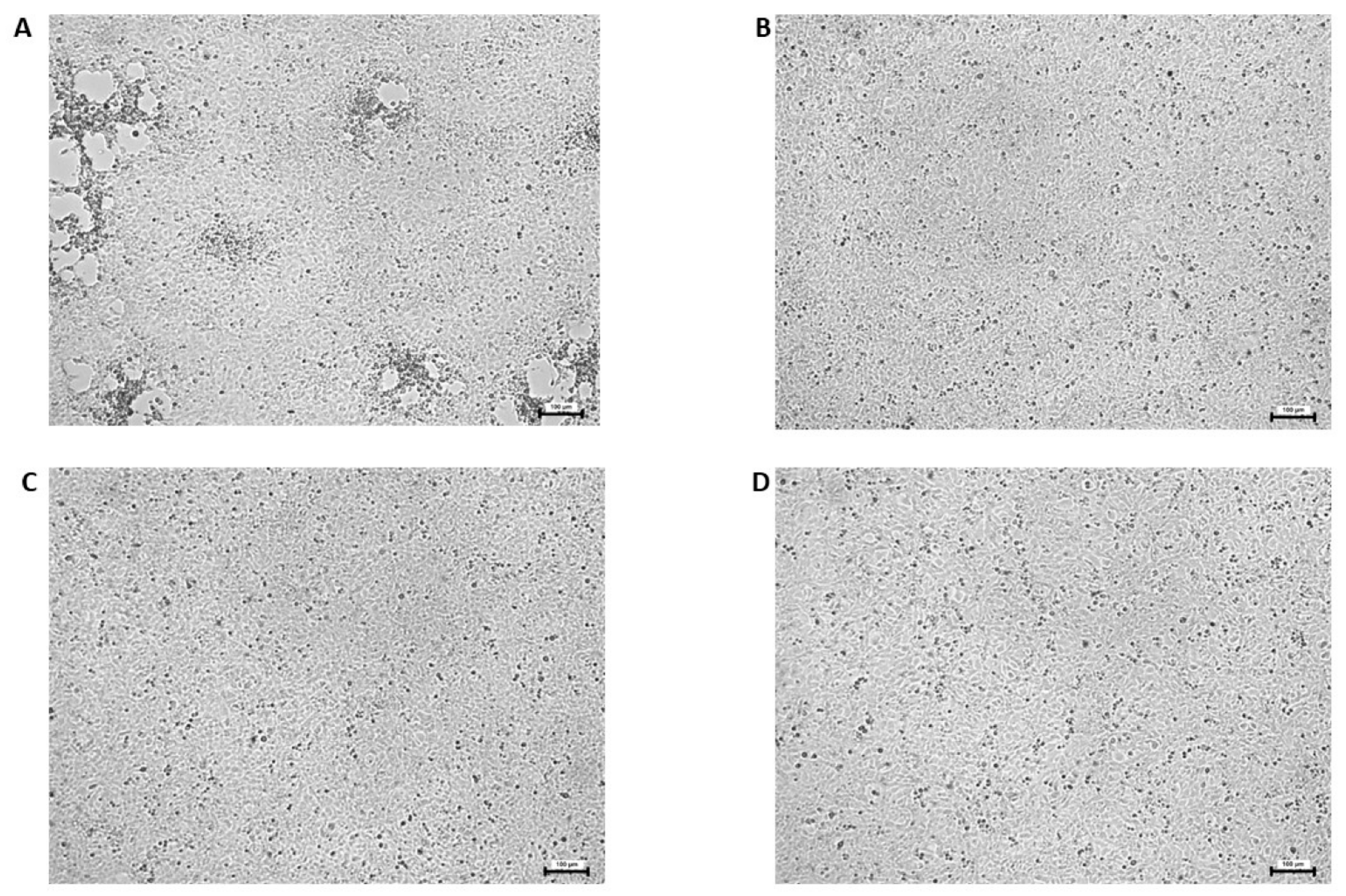 Viruses 15 01689 g004 Viruses 15 01689 g004