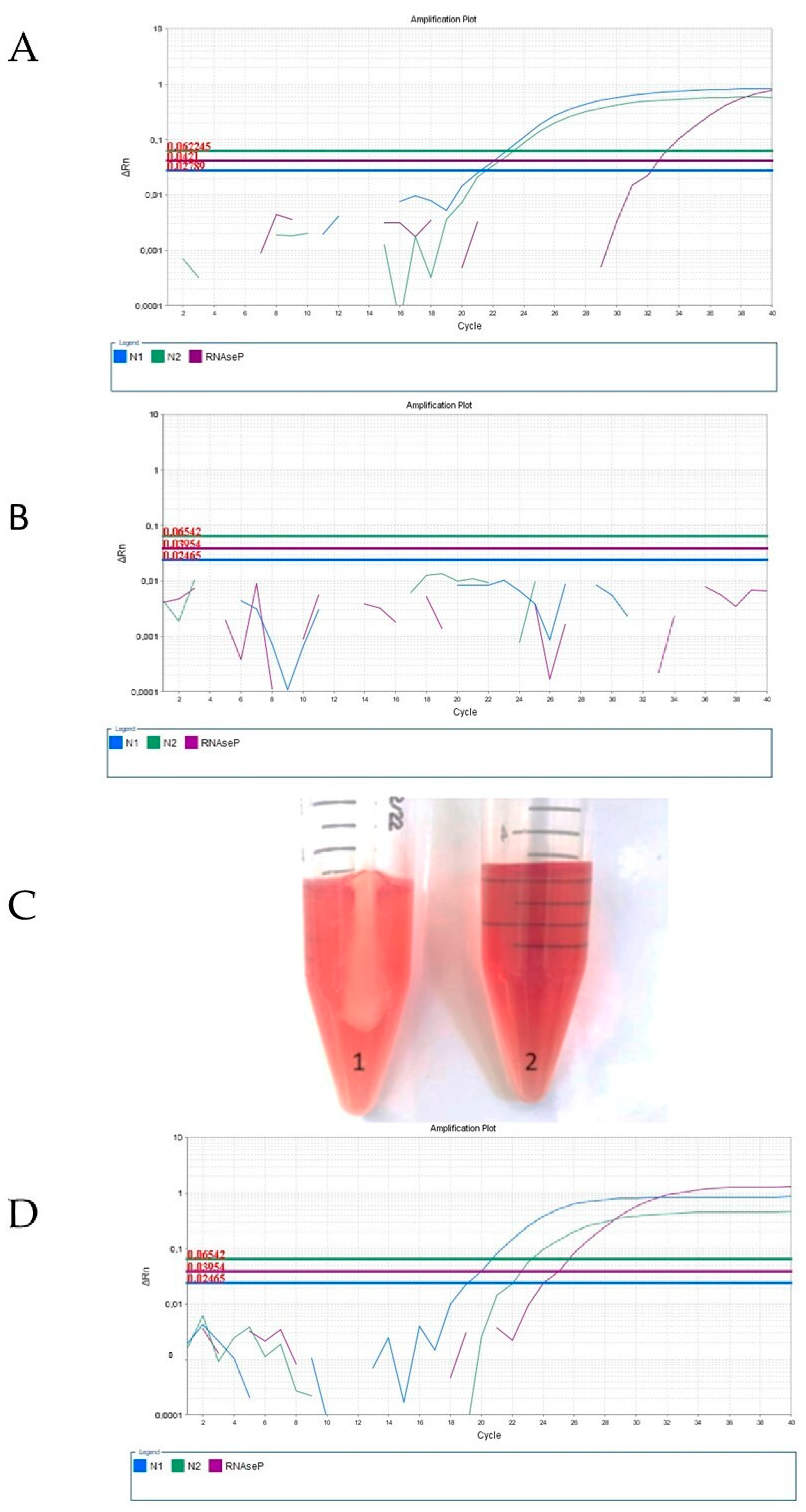 Viruses 15 01690 g001 Viruses 15 01690 g001