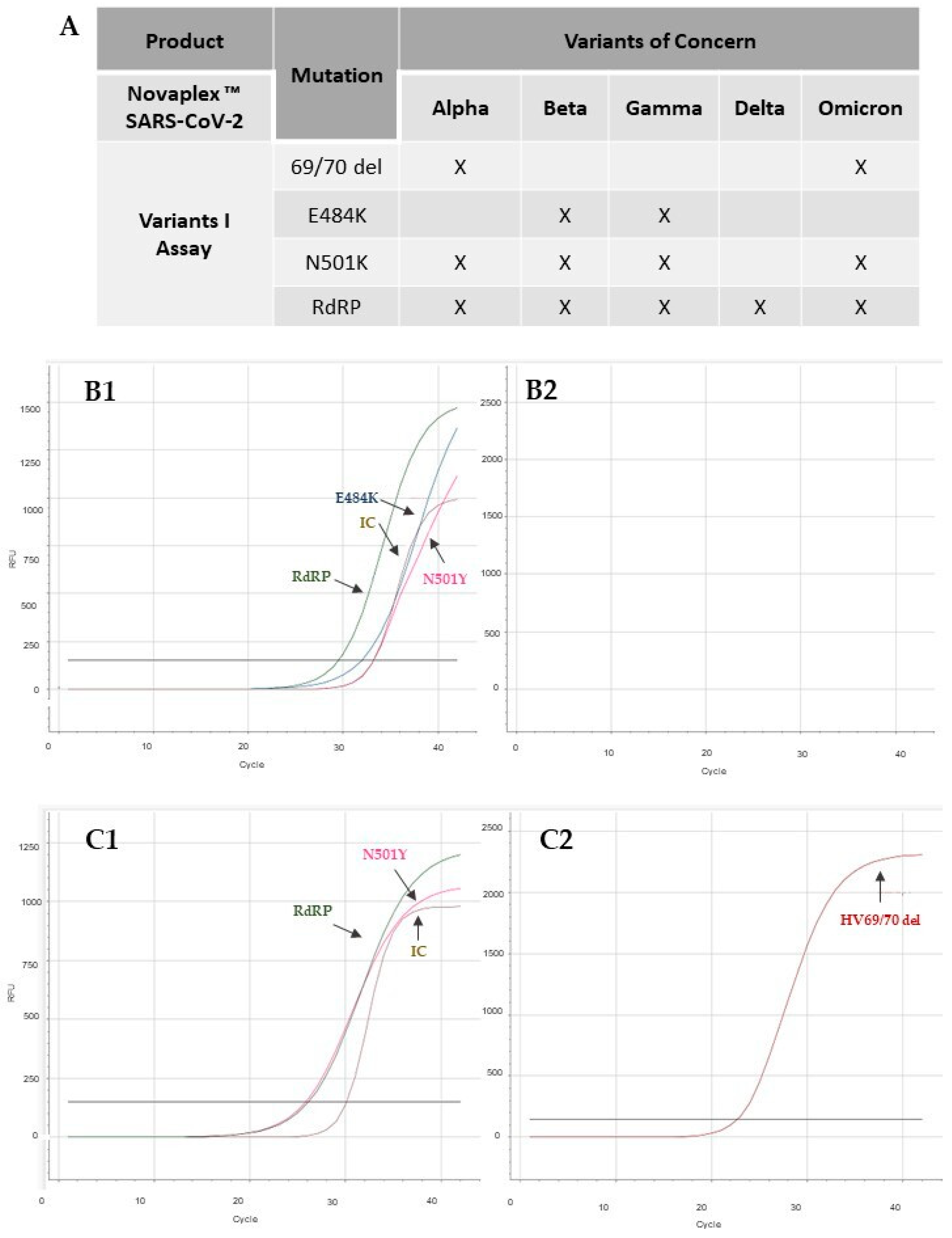 Viruses 15 01690 g004 Viruses 15 01690 g004