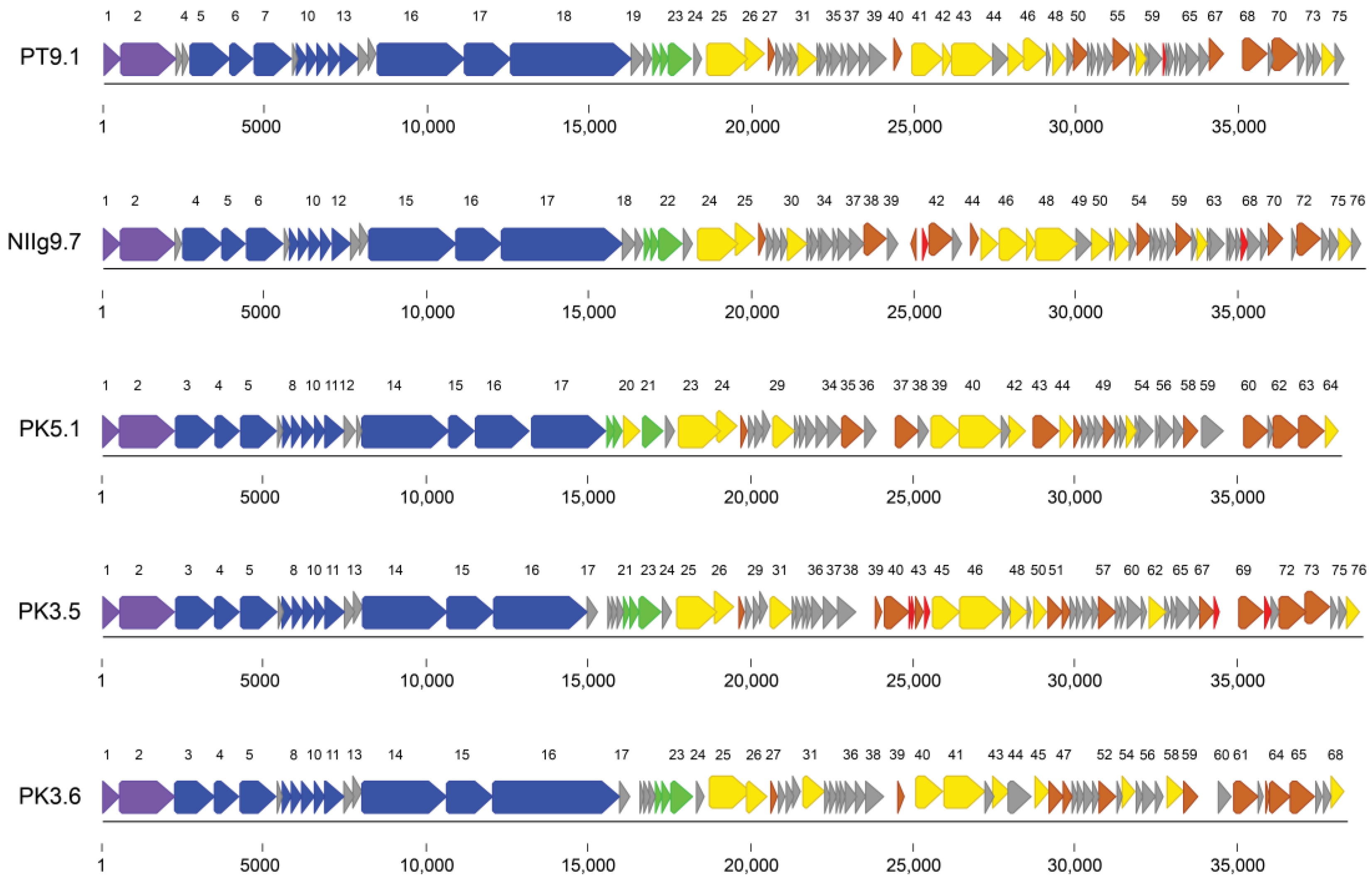 Viruses 15 01691 g004