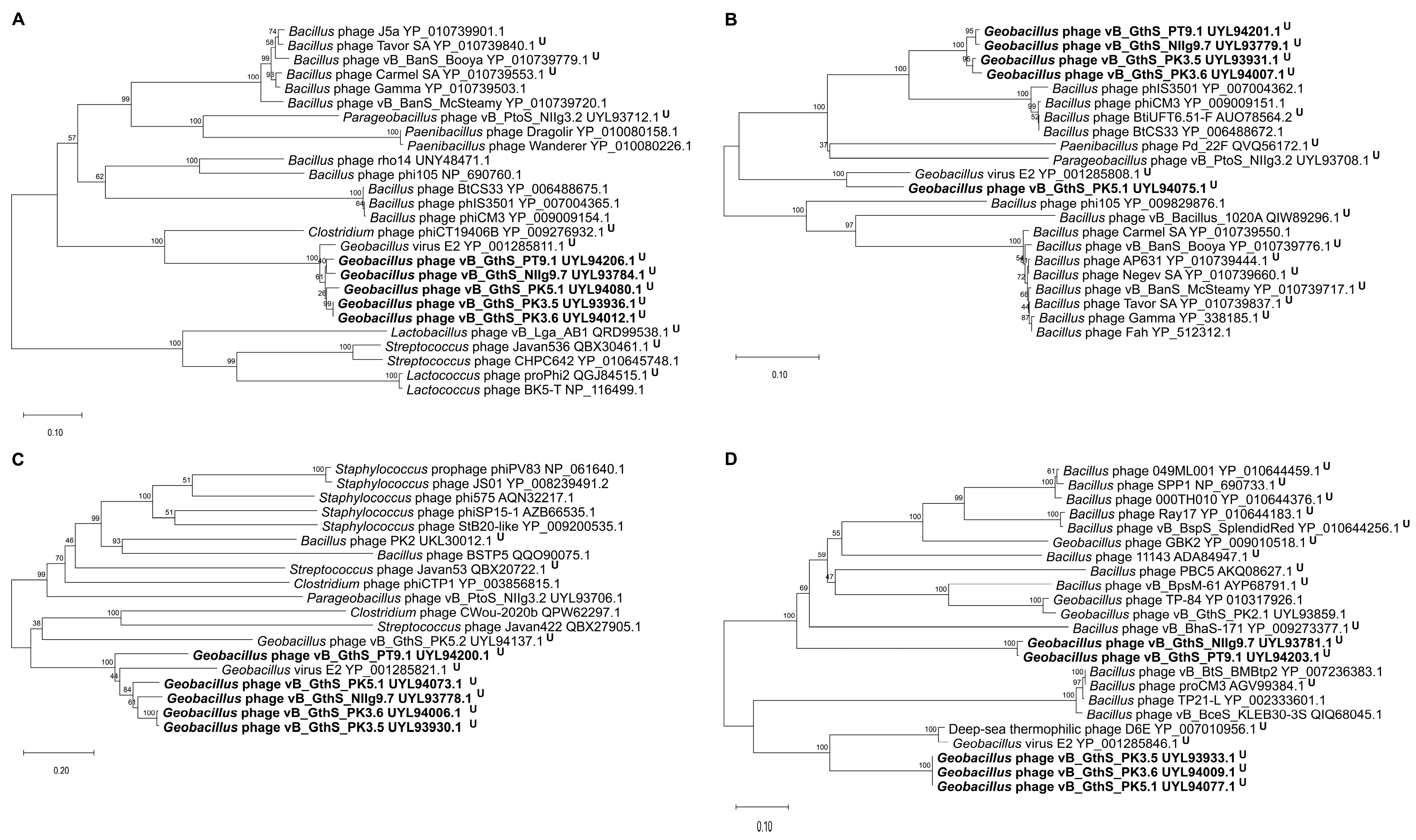 Viruses 15 01691 g005