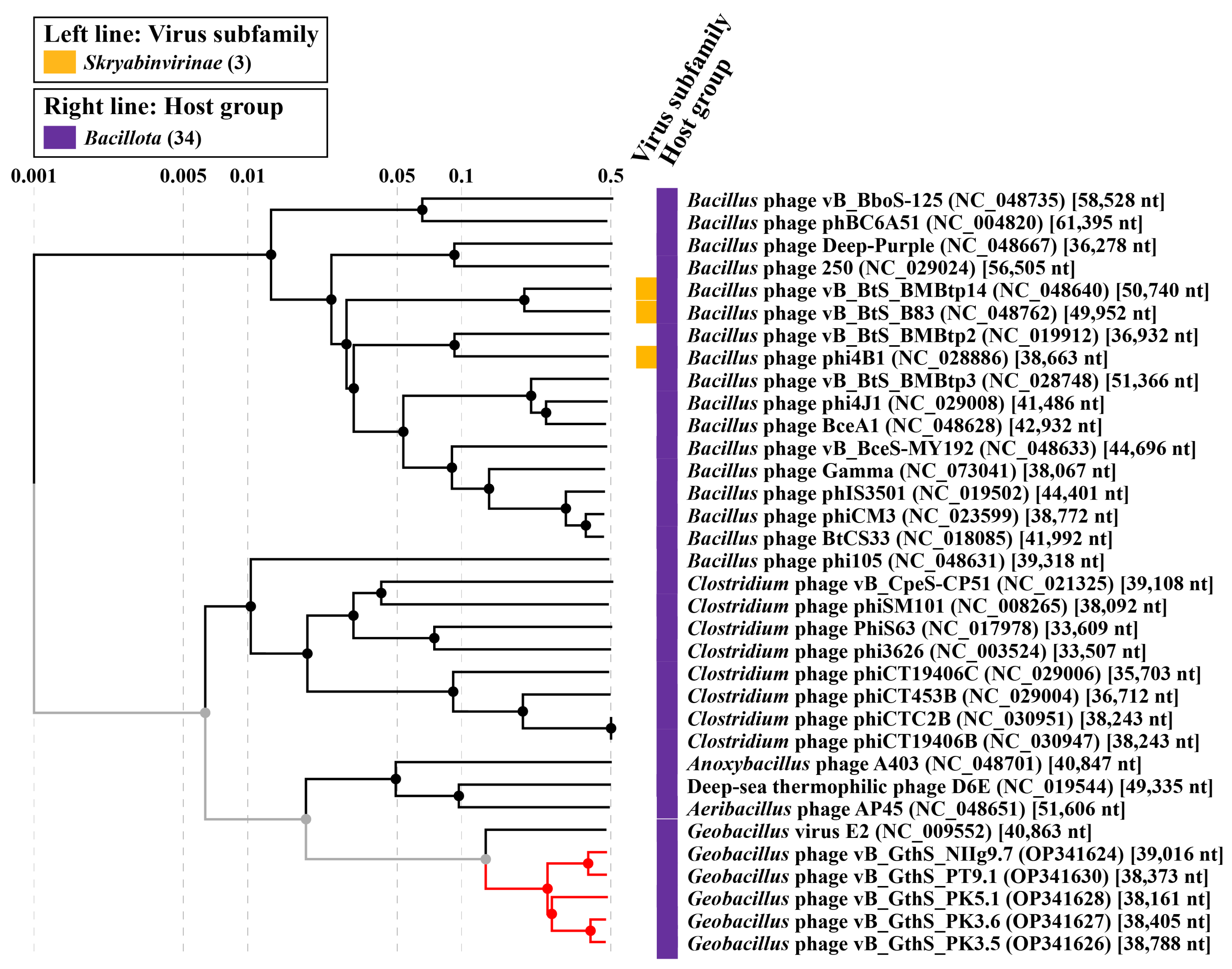 Viruses 15 01691 g006