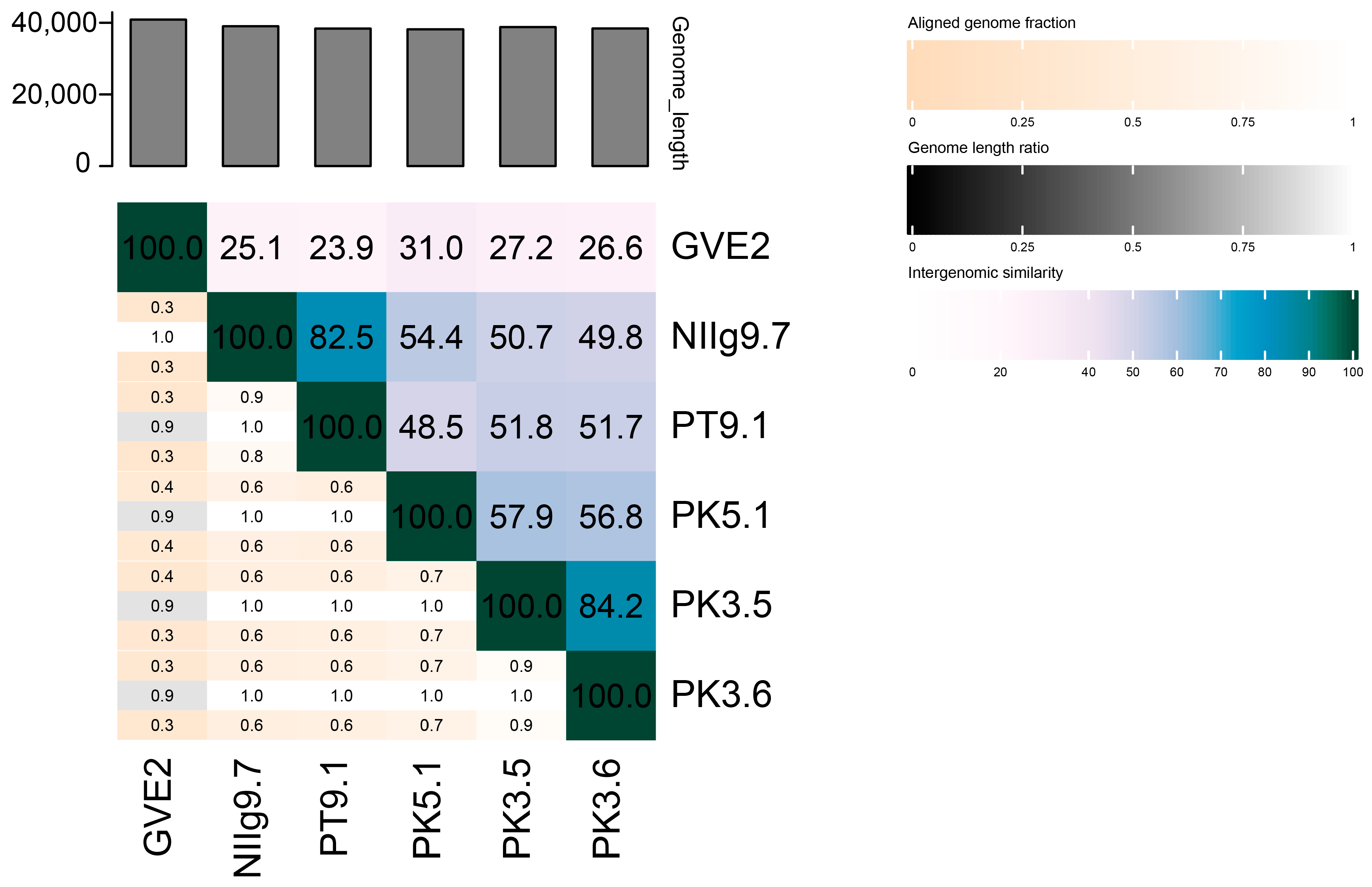 Viruses 15 01691 g008