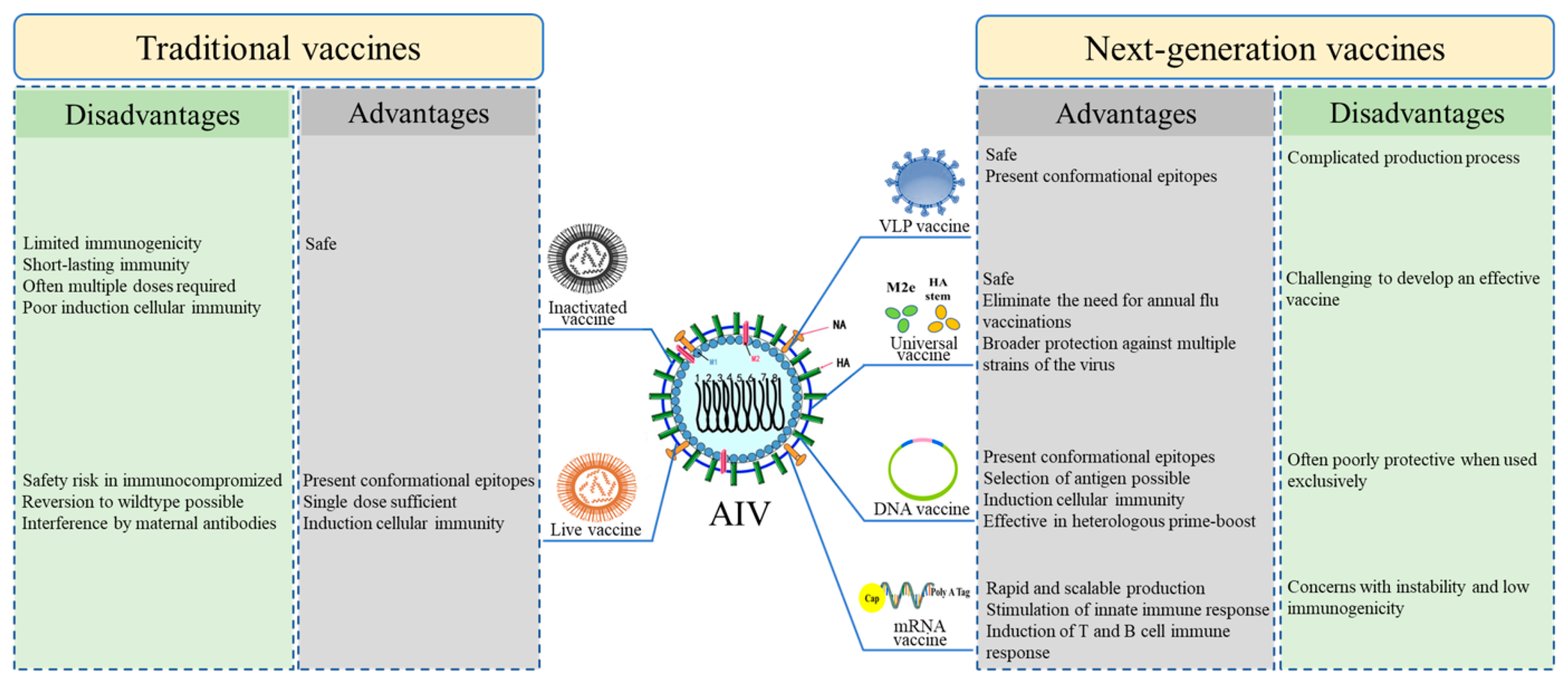 Viruses 15 01694 g001 Viruses 15 01694 g001