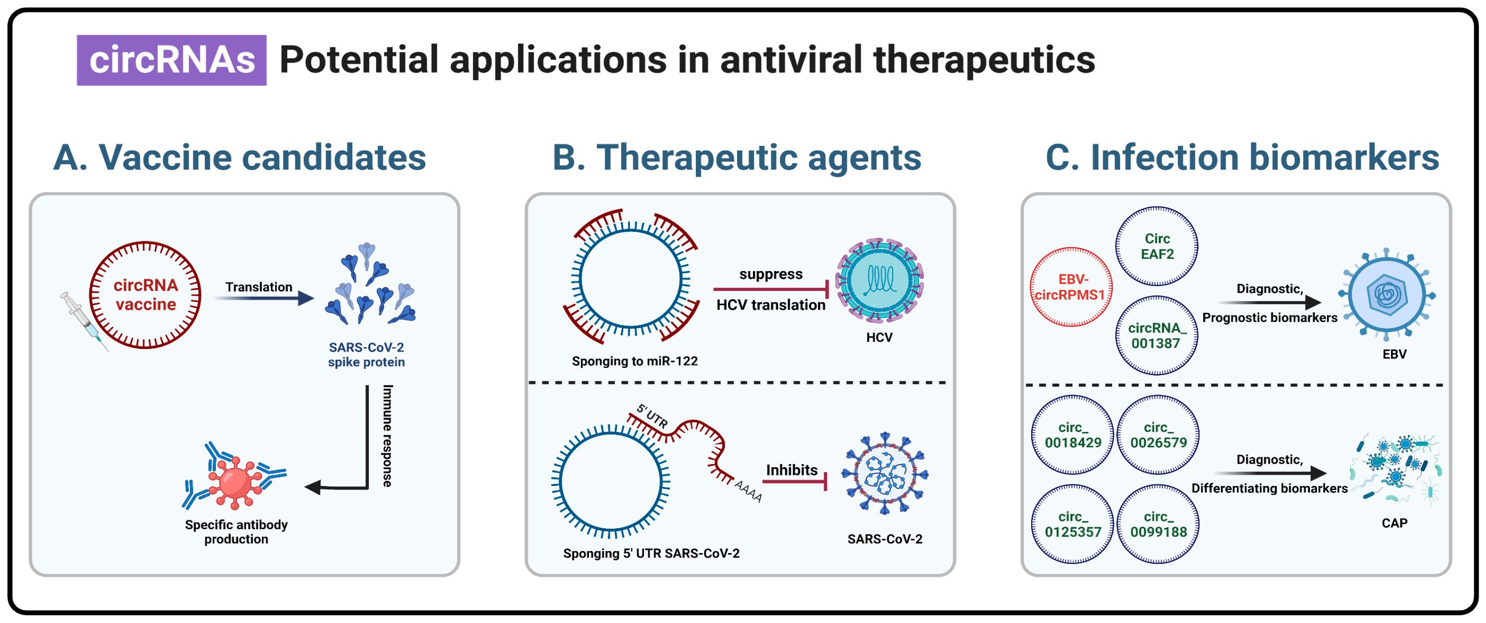 Viruses 15 01697 g002 Viruses 15 01697 g002