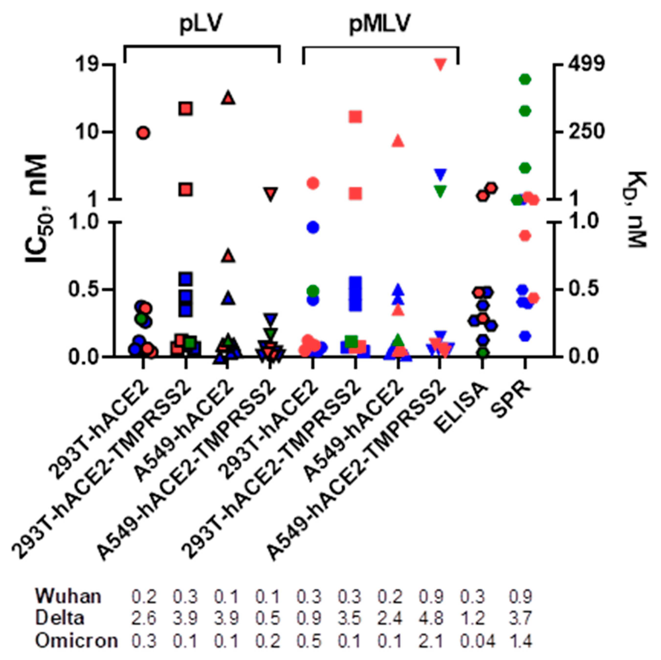 Viruses 15 01698 g001