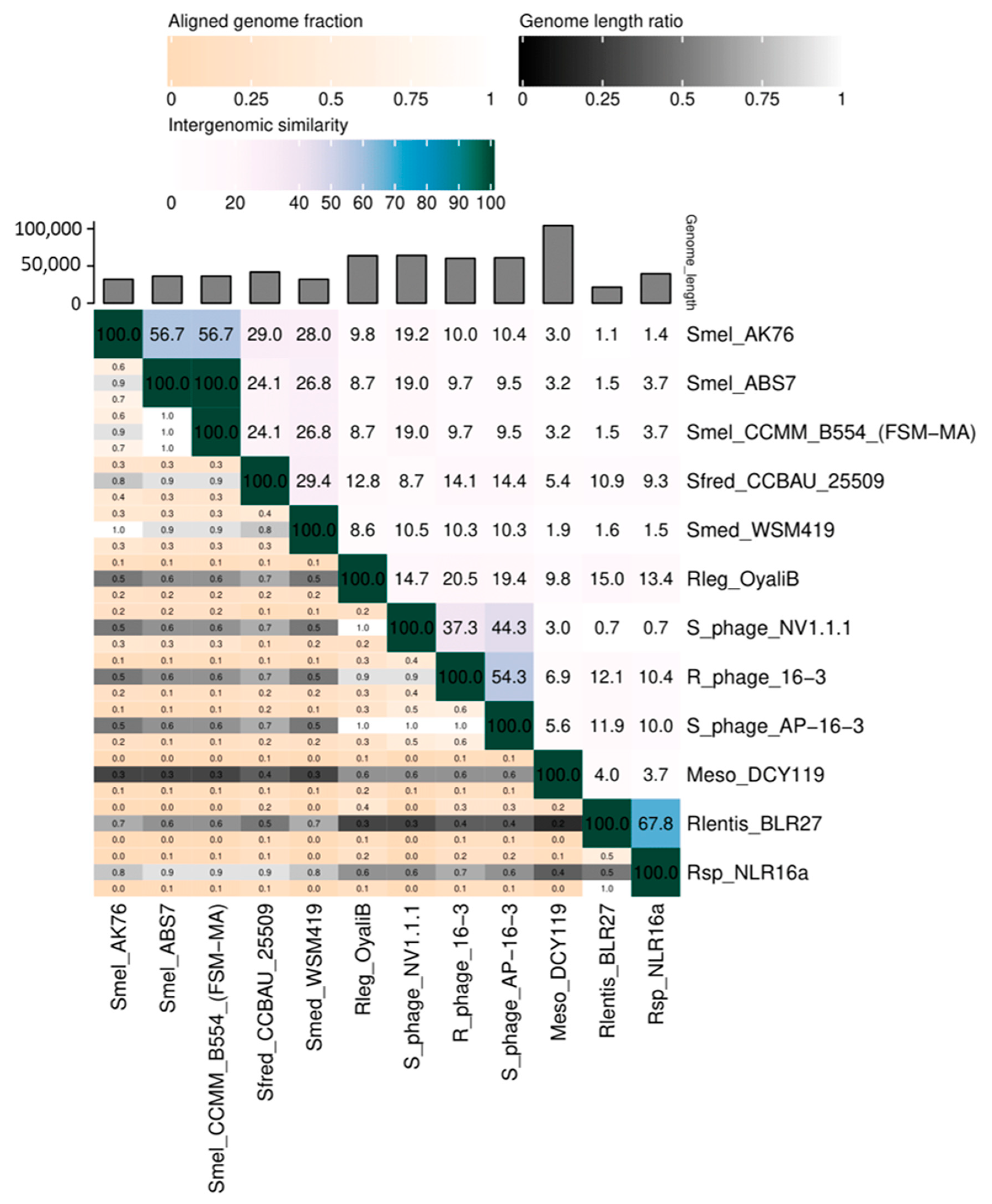 Viruses 15 01701 g005 Viruses 15 01701 g005