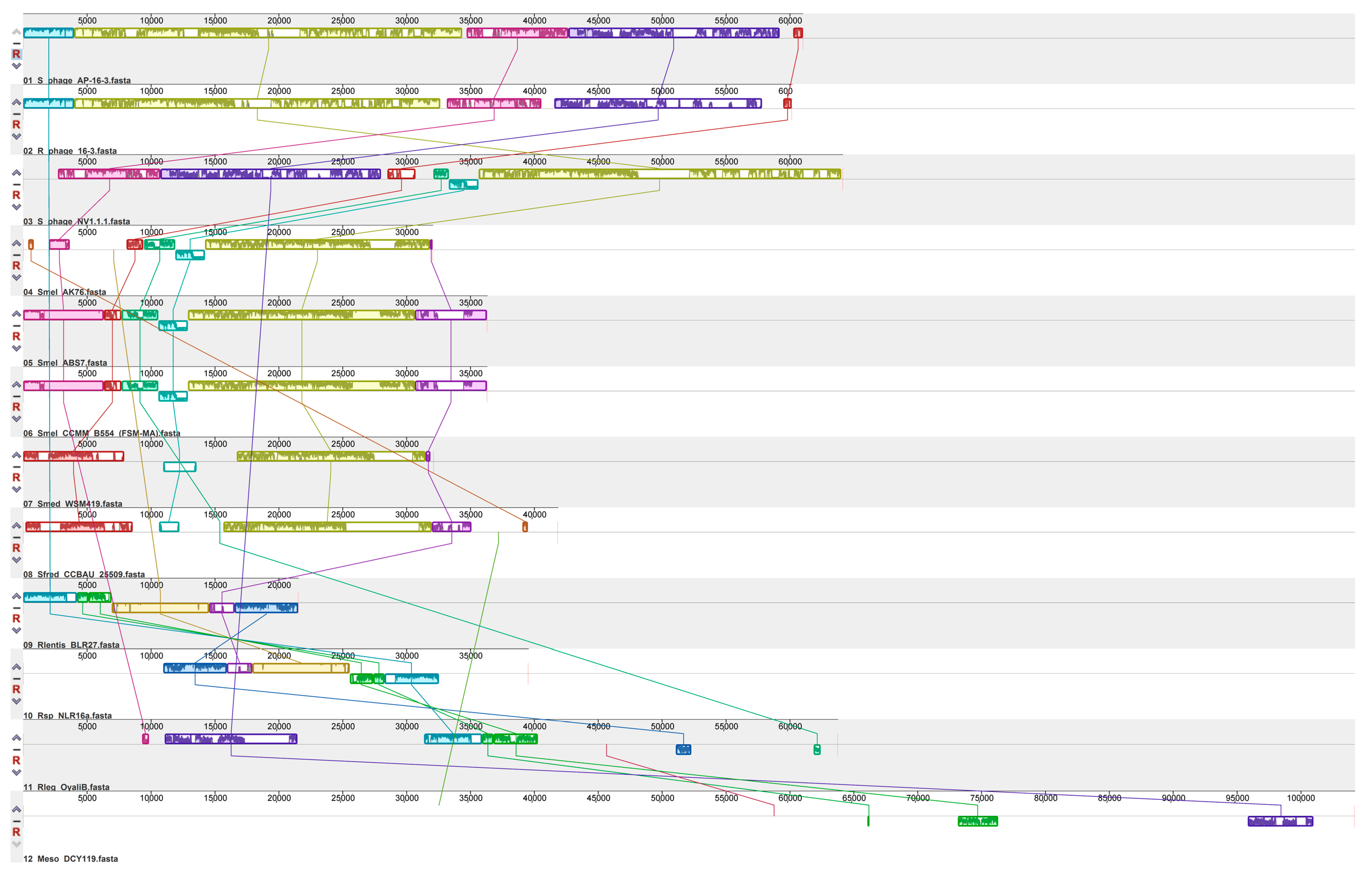 Viruses 15 01701 g006 Viruses 15 01701 g006