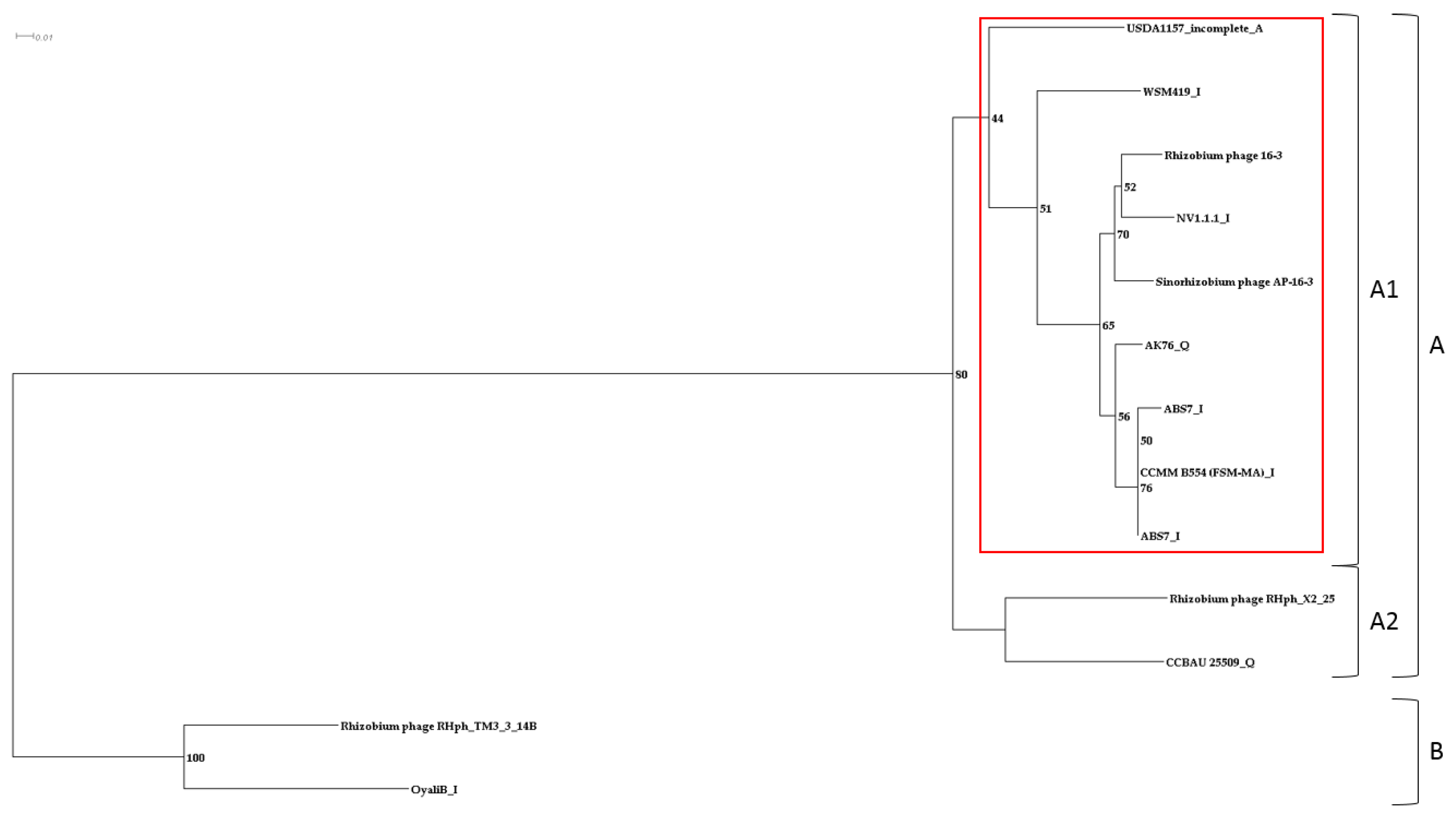 Viruses 15 01701 g009 Viruses 15 01701 g009