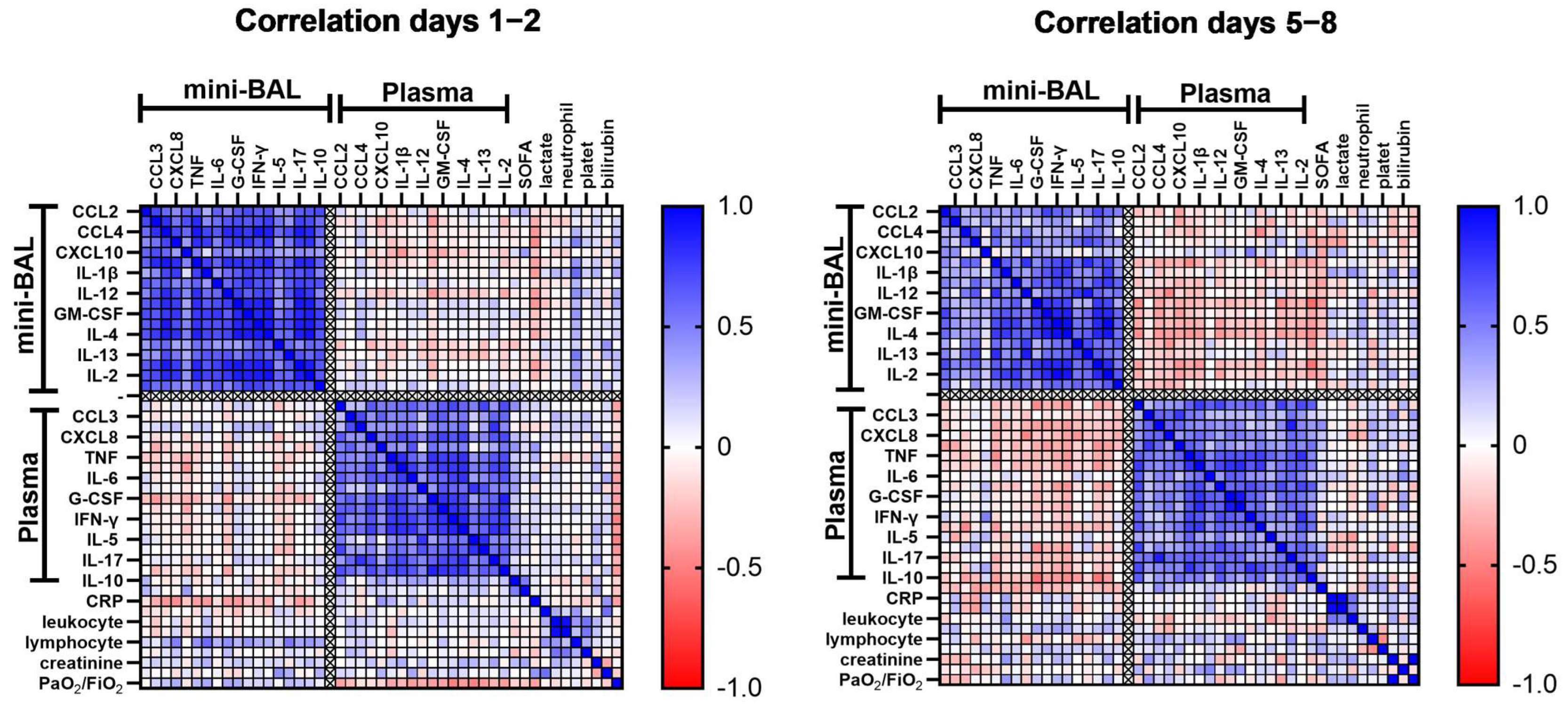 Viruses 15 01704 g001