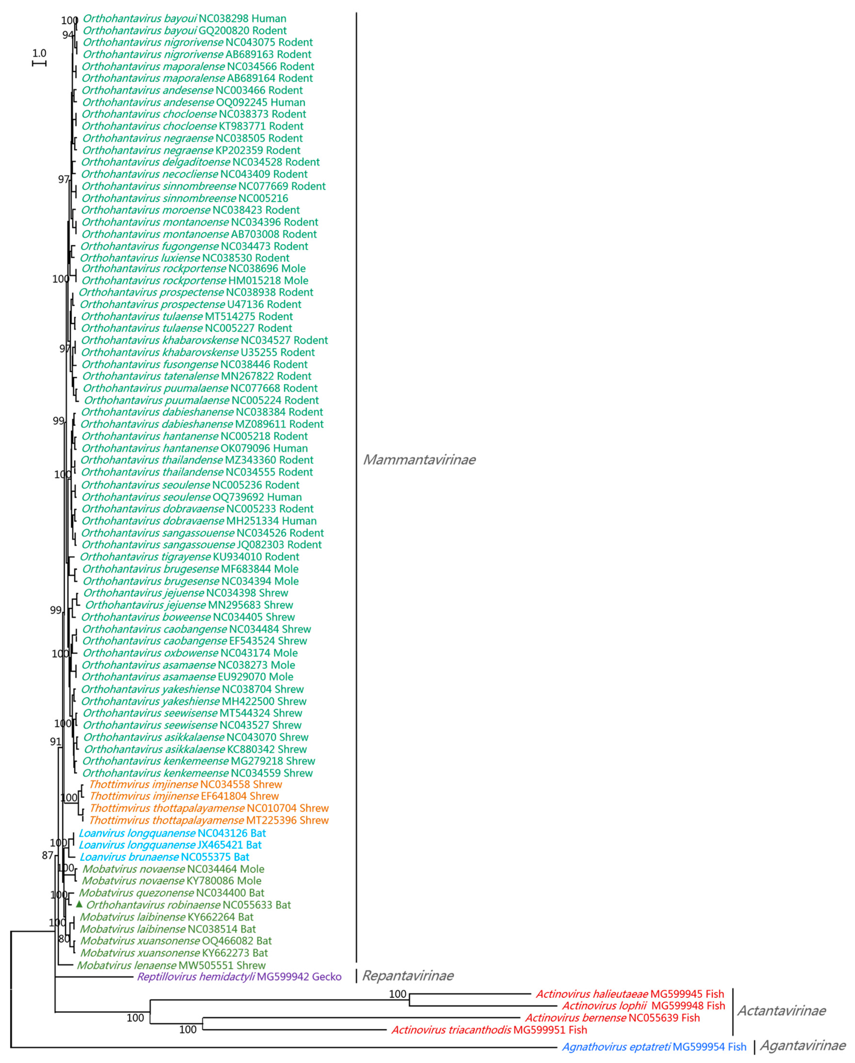 Viruses 15 01705 g003 Viruses 15 01705 g003