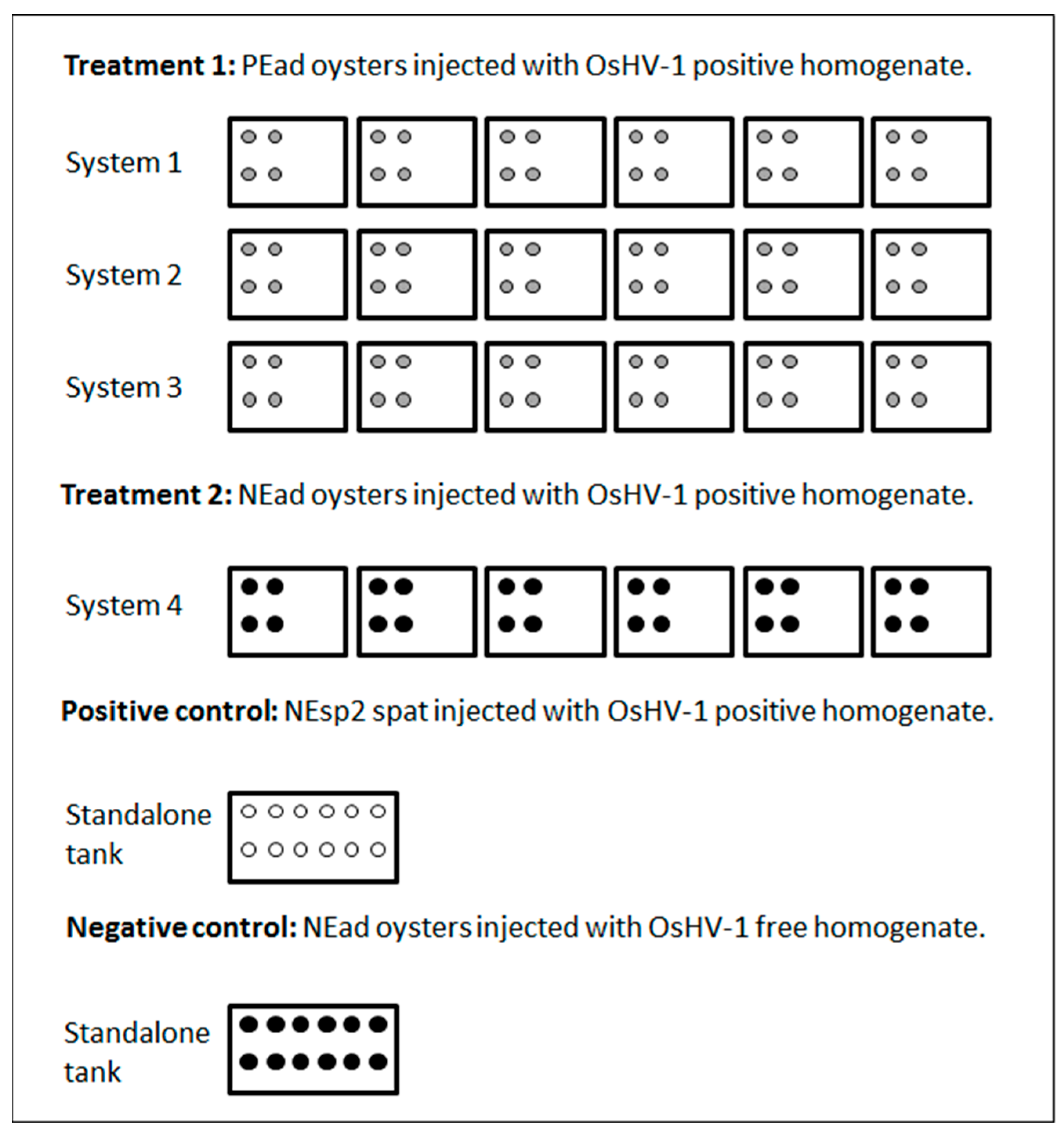 Viruses 15 01706 g003